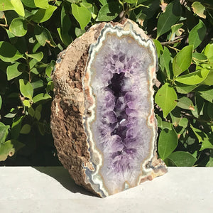 Green and Gold Banded Amethyst Geode