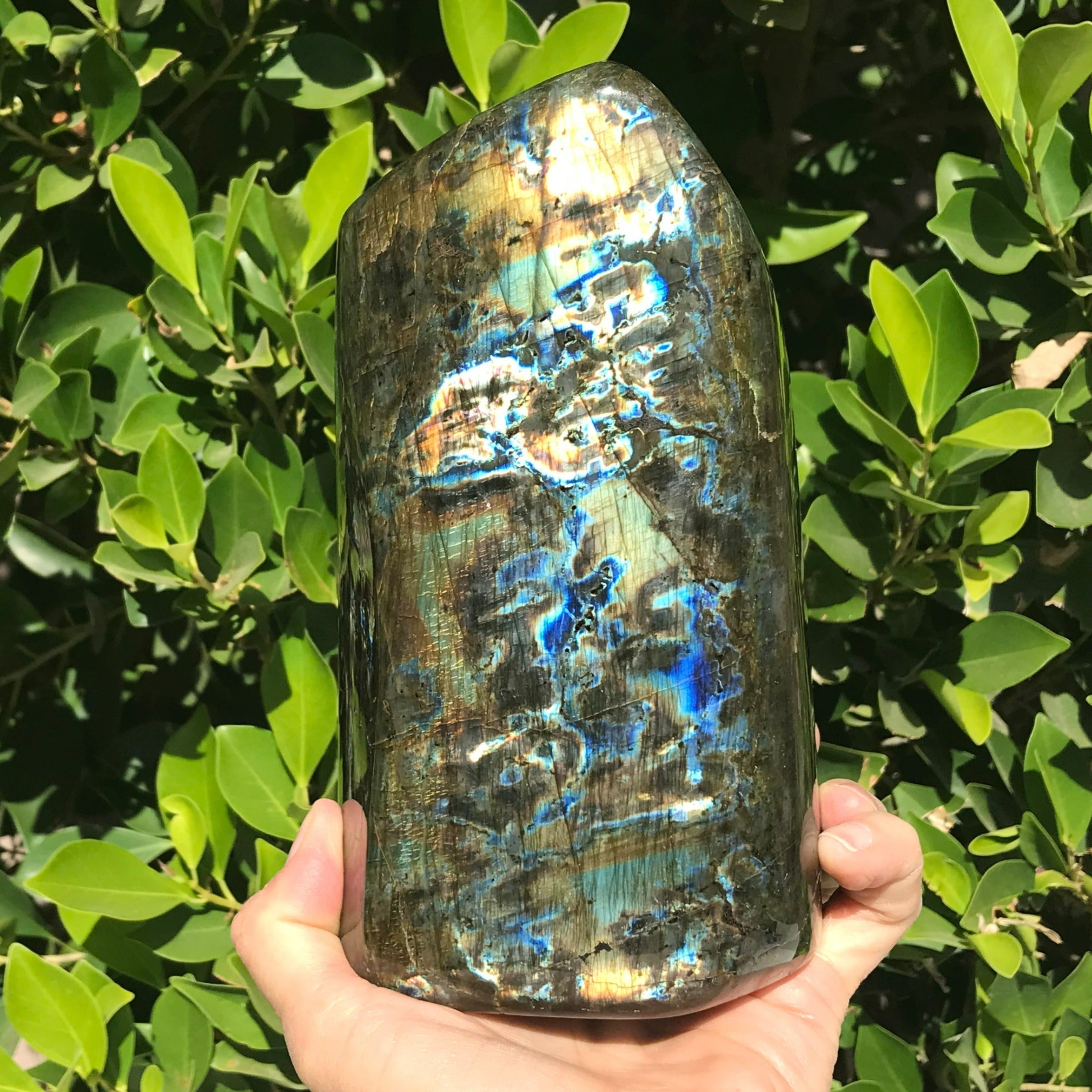 Intricate Patterned Labradorite Freeform