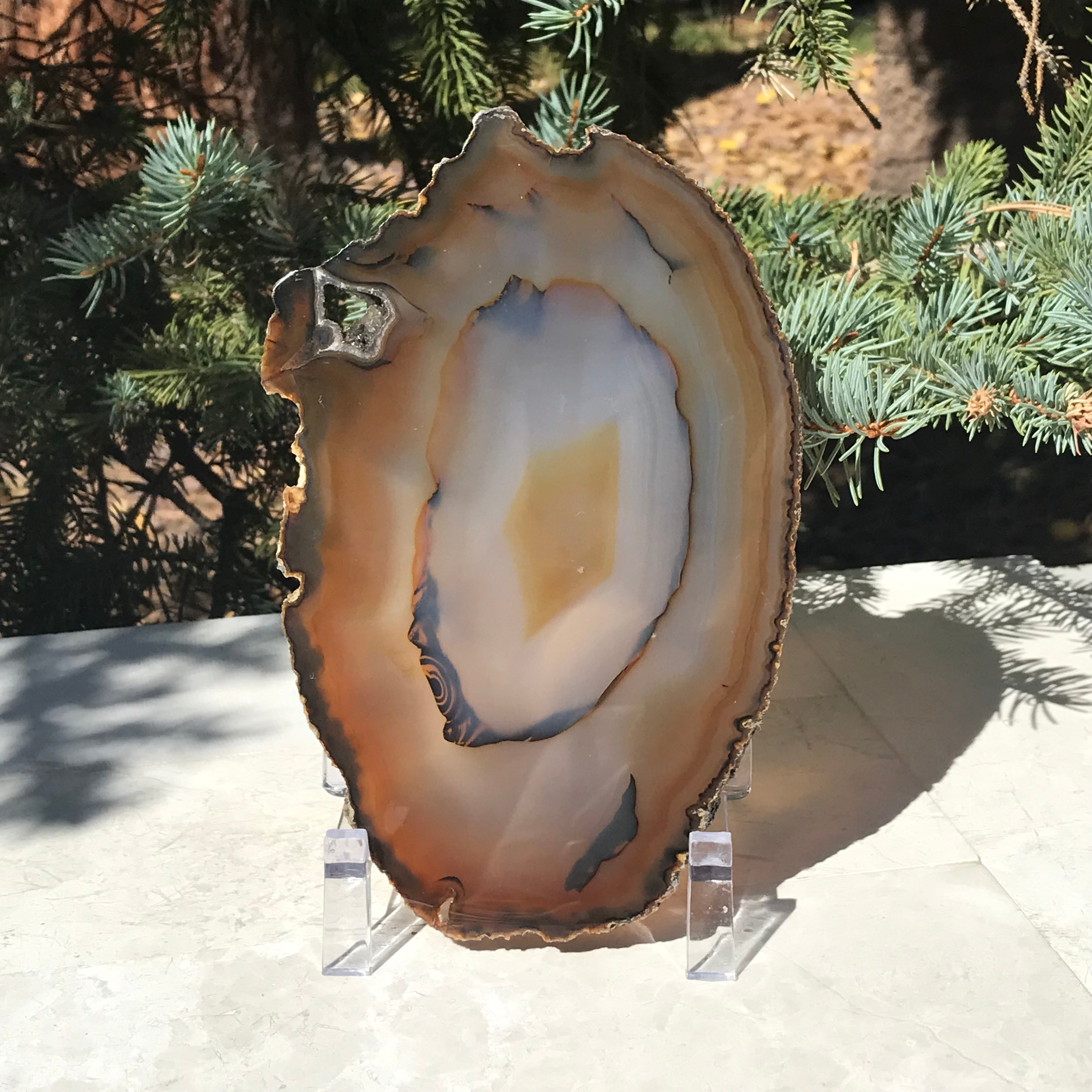 Concentric Banded Agate Slice