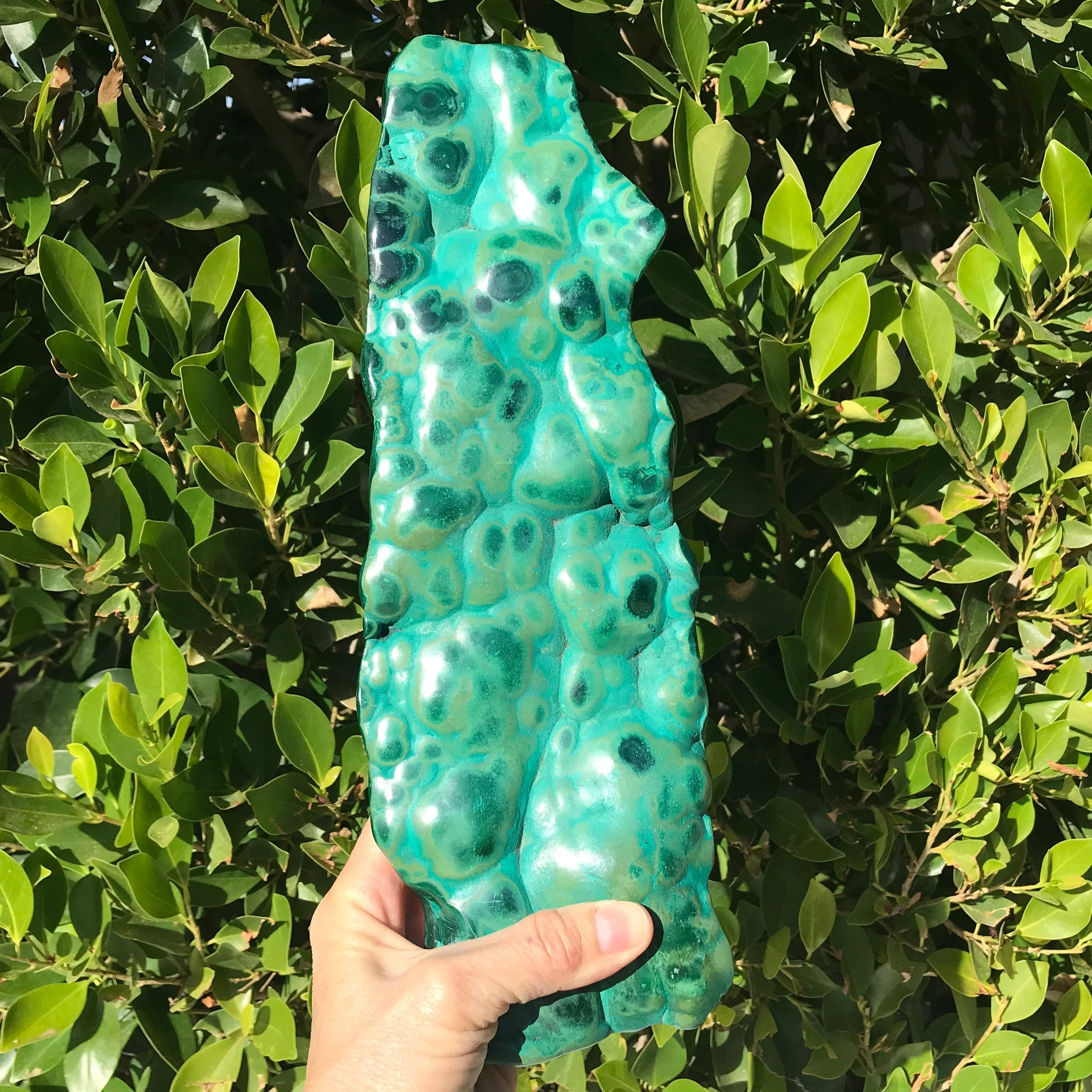 Polished Malachite/Chrysocolla Plate