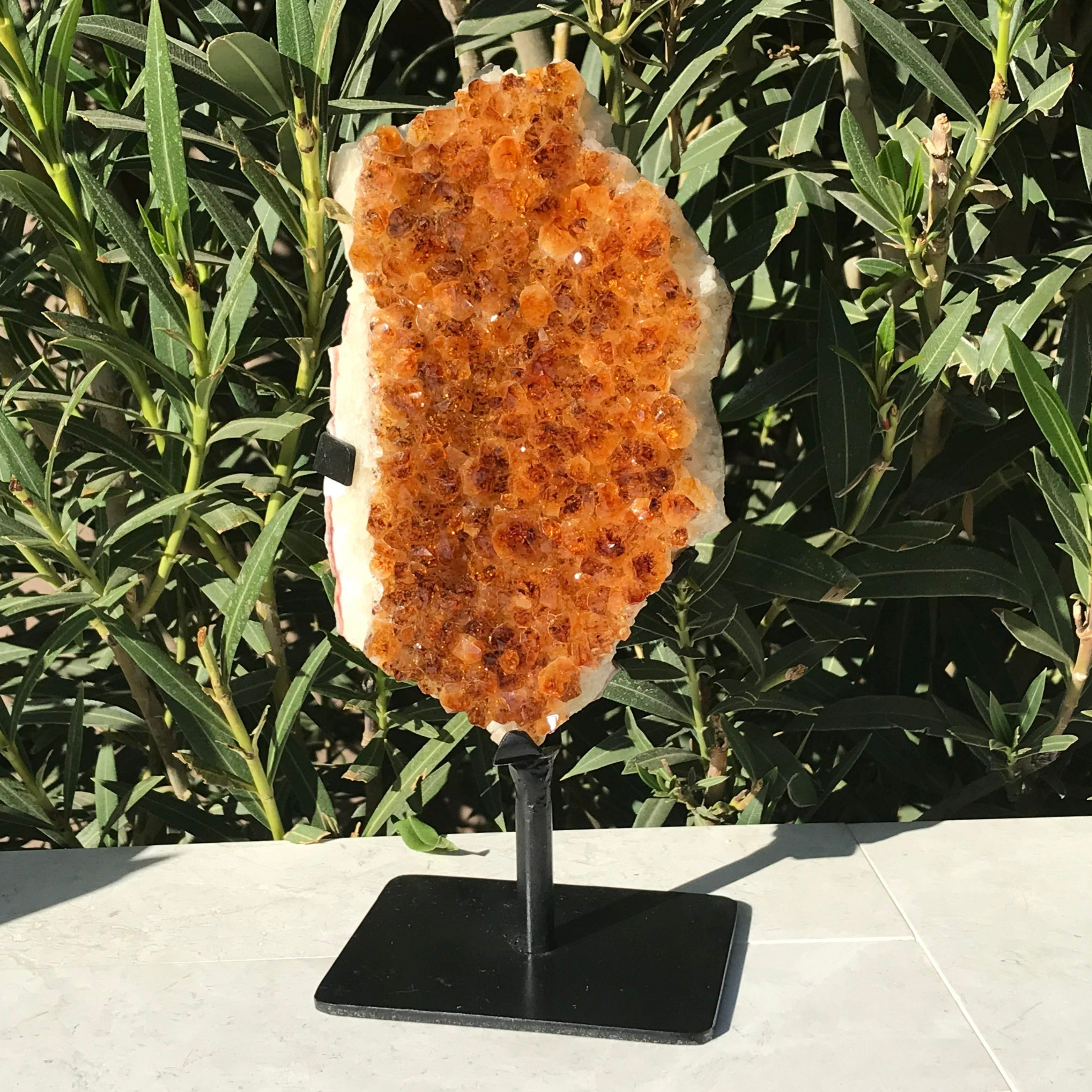 Standing Citrine Freeform