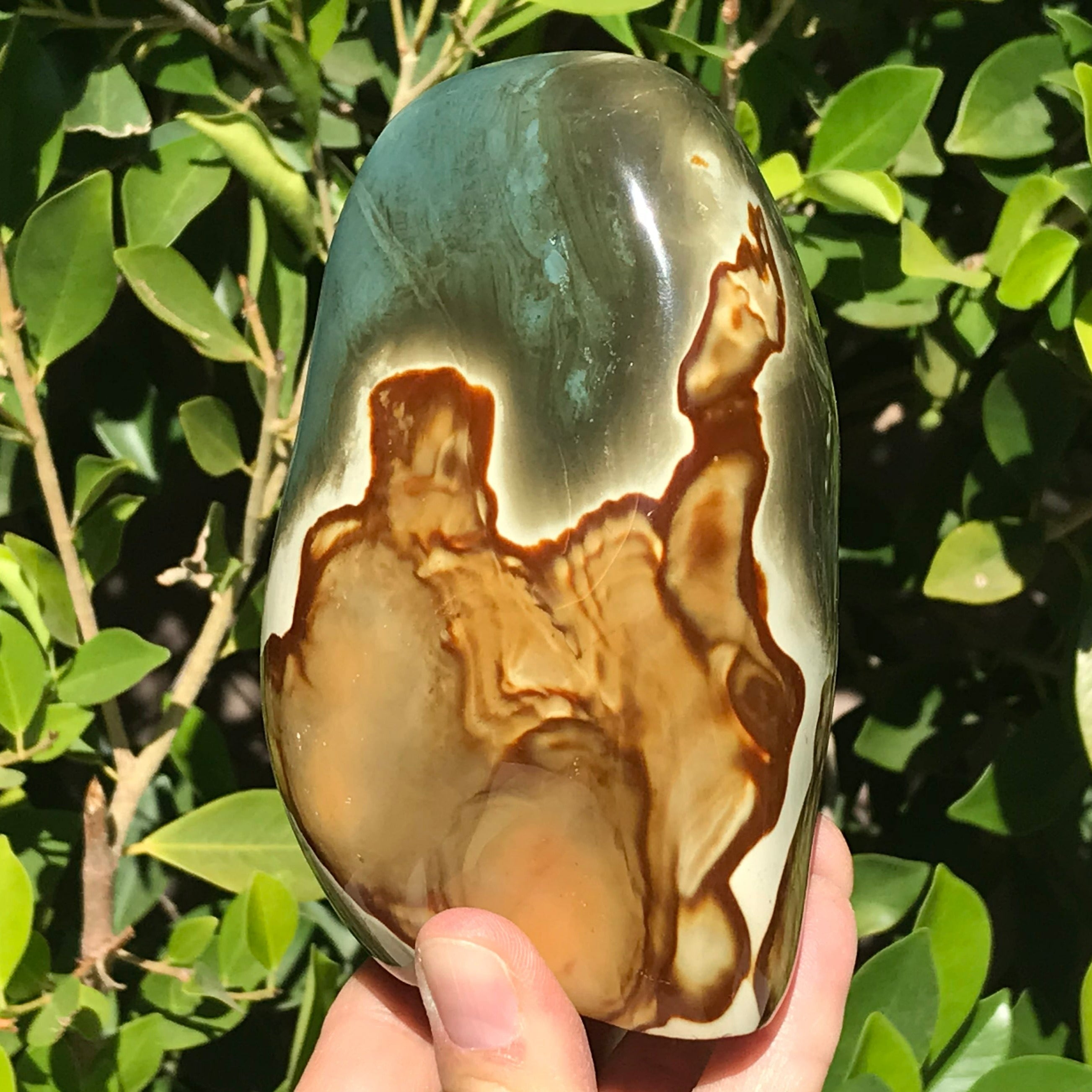 Polychrome Jasper Freeform