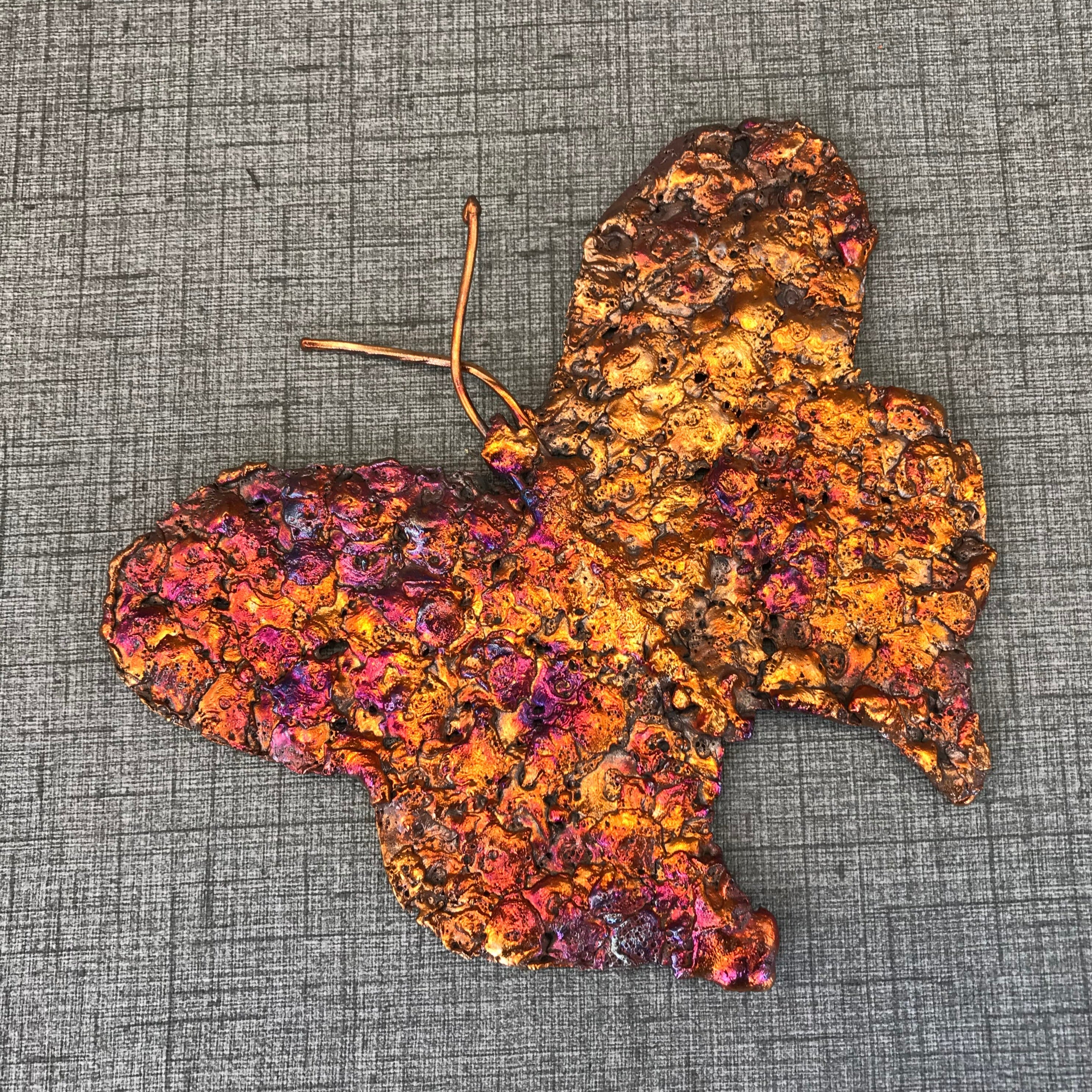 Rainbow Copper Splash Butterfly Art