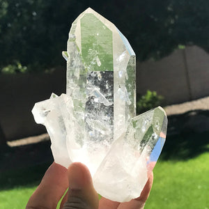Crystal Growth on Lemurian Crystal Cluster