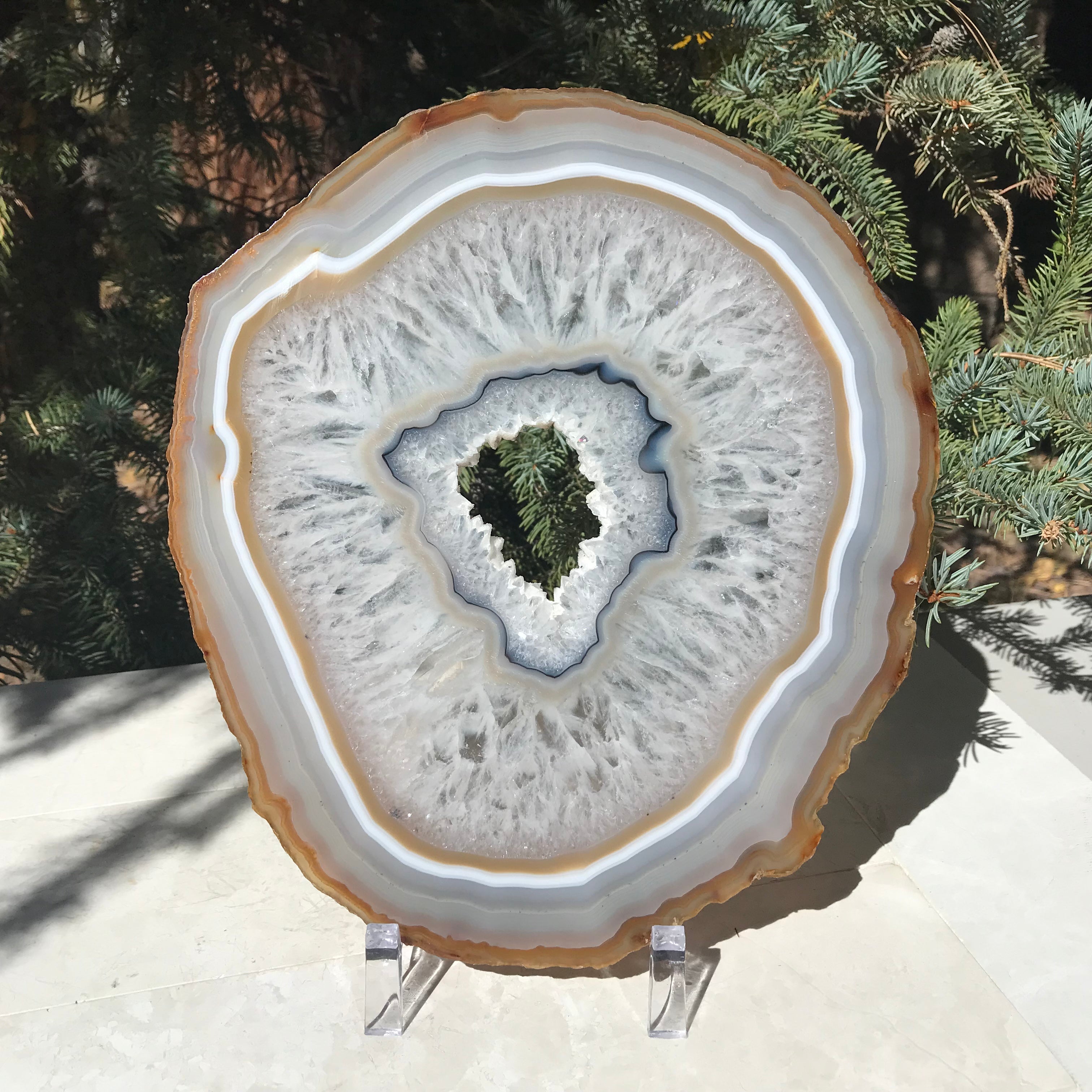 Consecutive Agate Slice #1