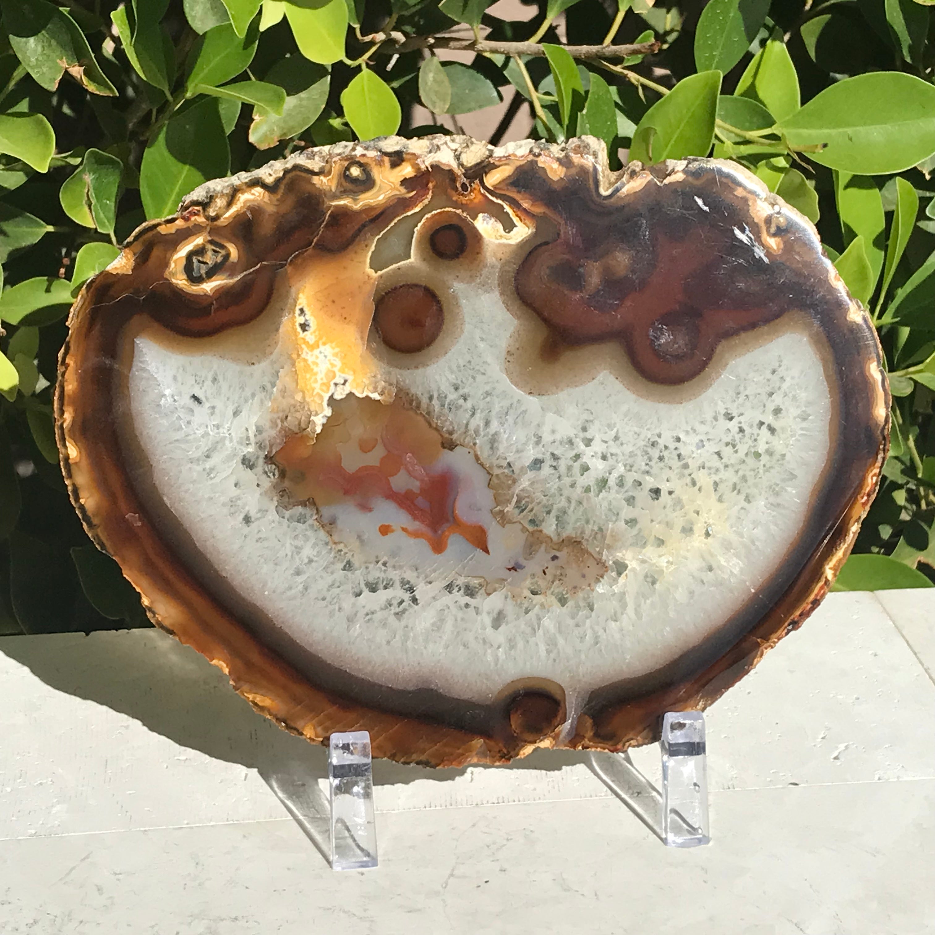 Hues of a Rainbow Agate Slice