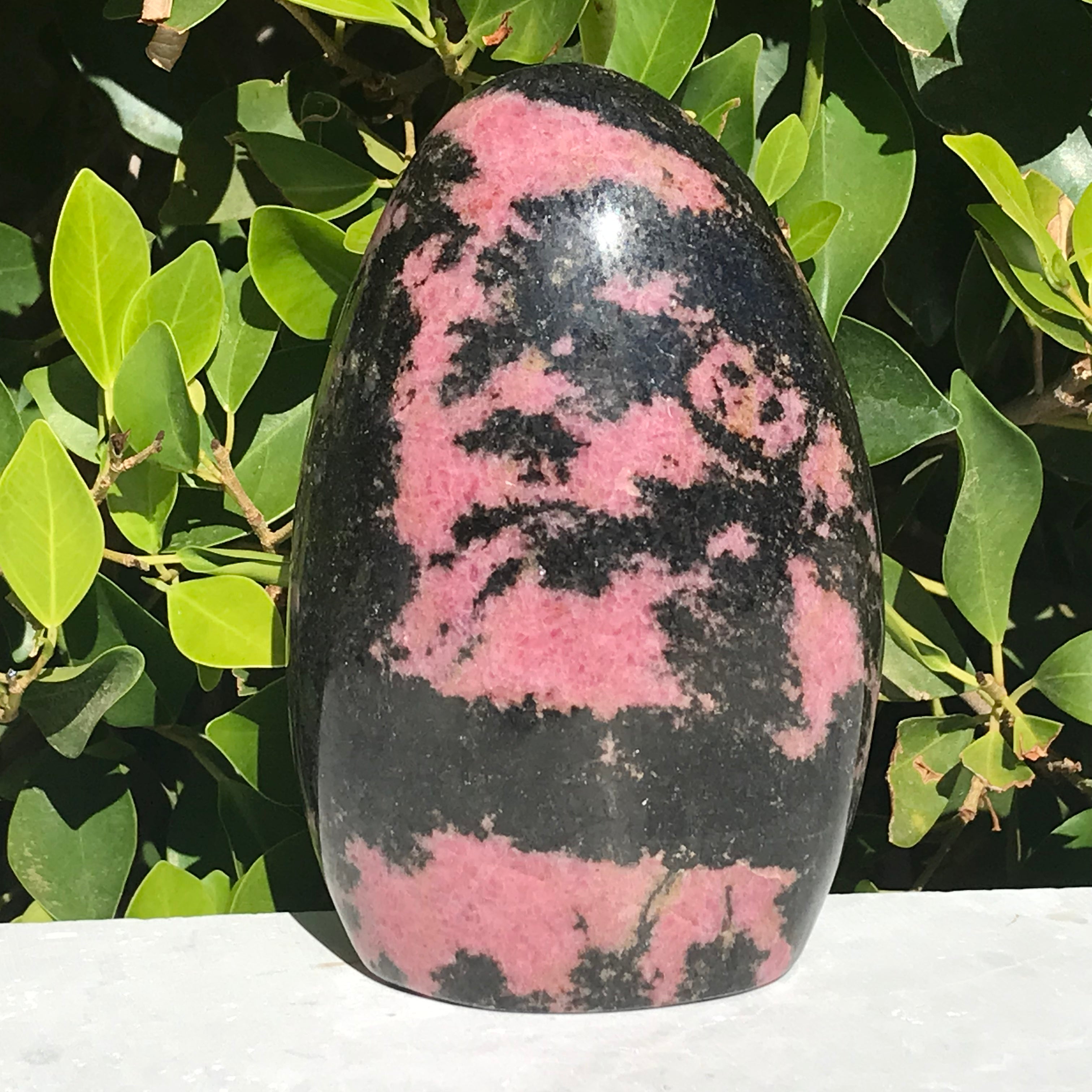 Ornate Rhodonite Nodule