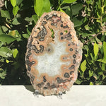 Red and Tan Banded Eyes Agate Slice