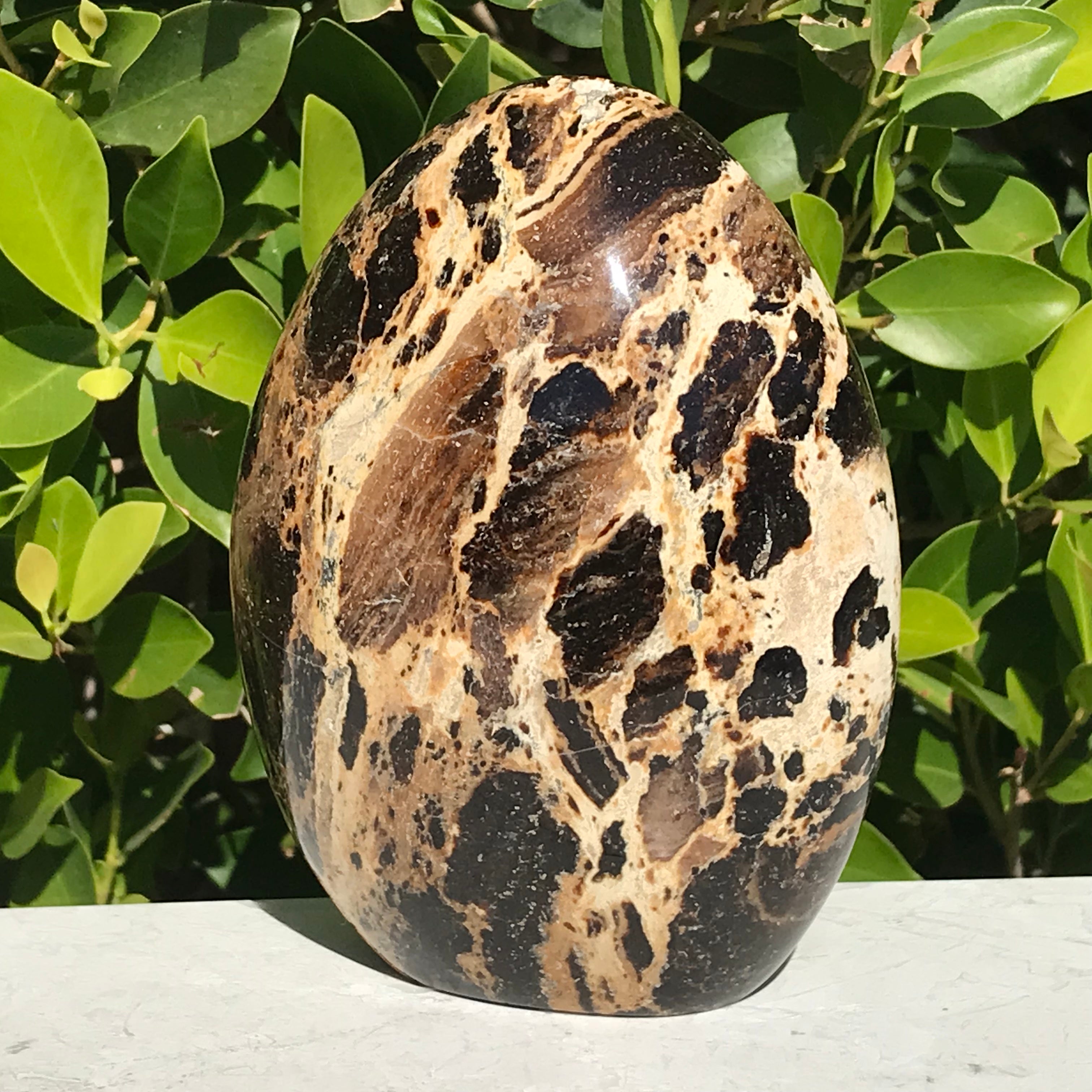 Black Opal Freeform