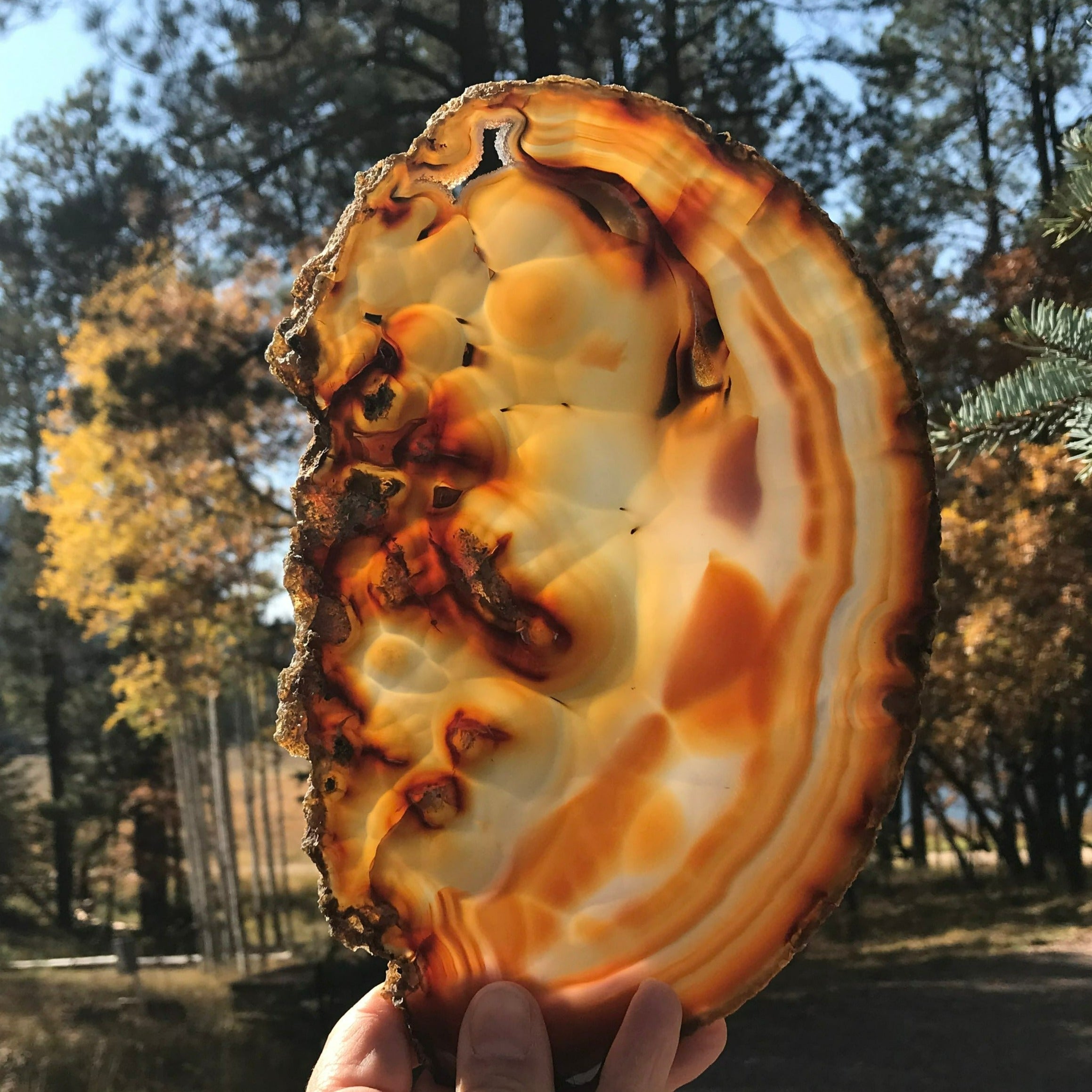 Fiery Detailed Agate Slice