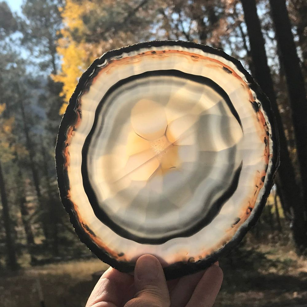 Banding and Bubbles Agate Slice