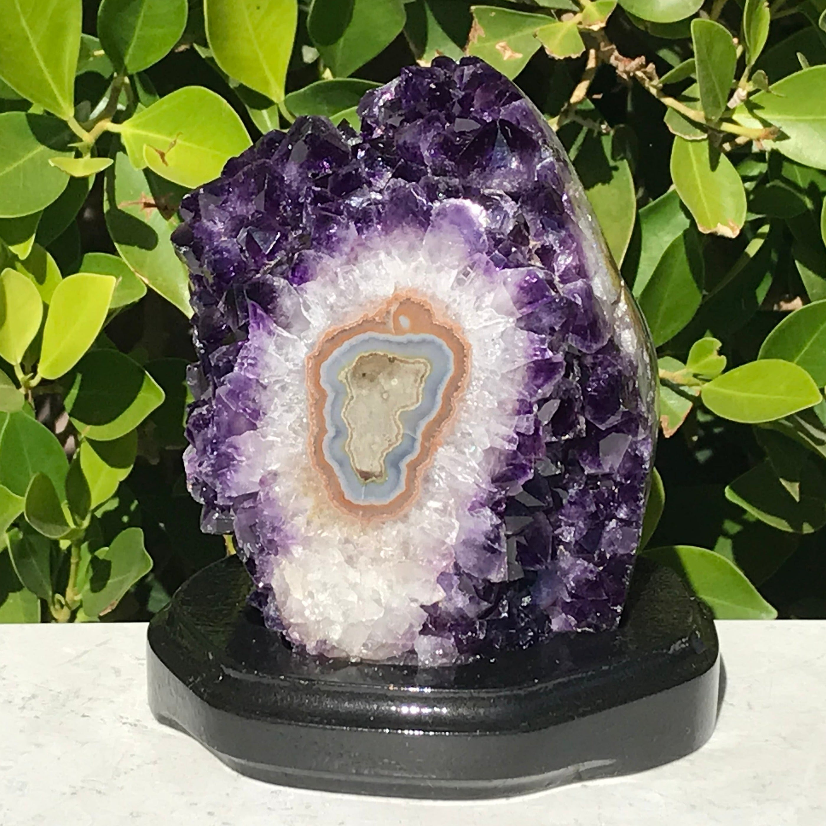 Stalactite Eyed Amethyst Cluster