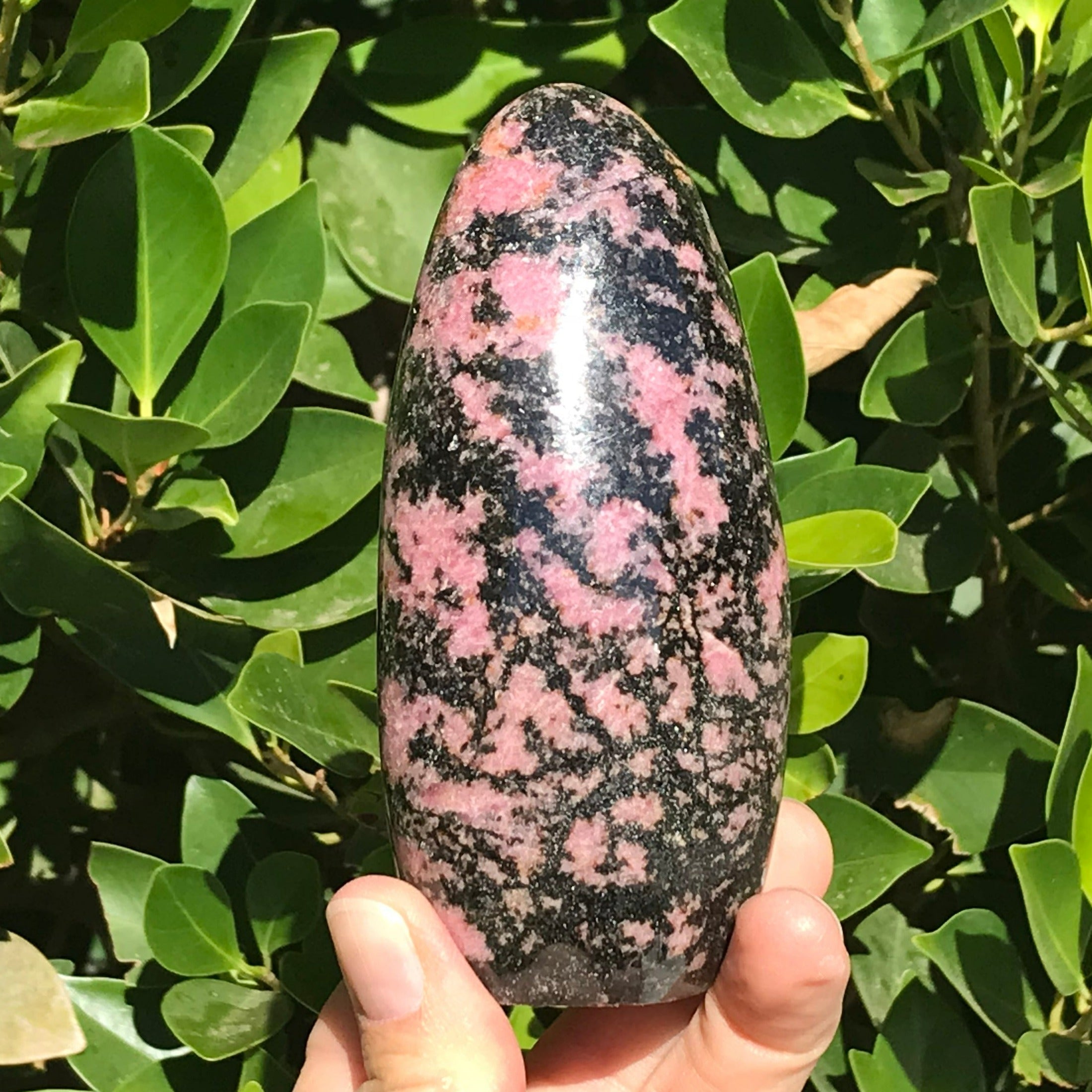 Black and Pink Rhodonite Nodule
