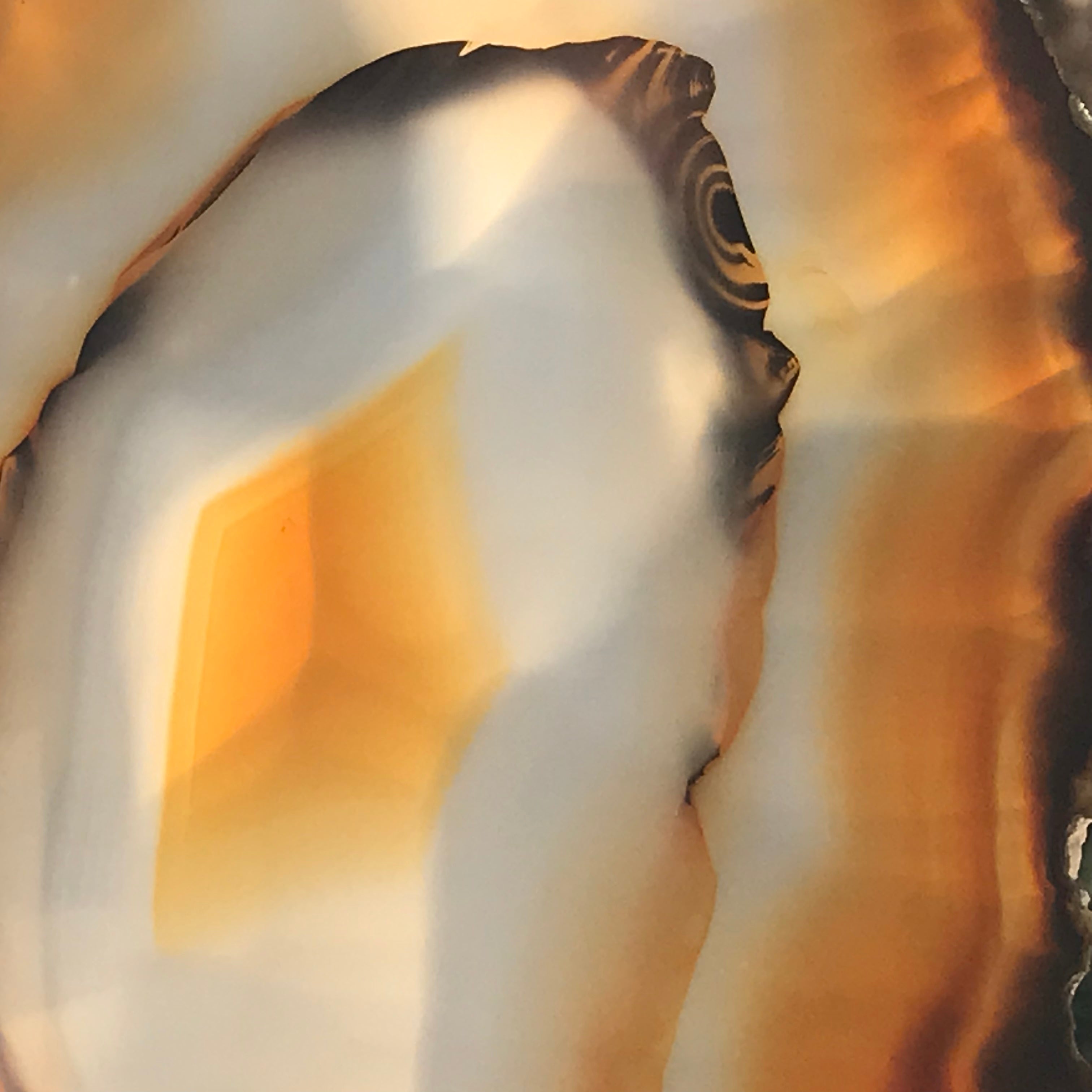 Concentric Banded Agate Slice