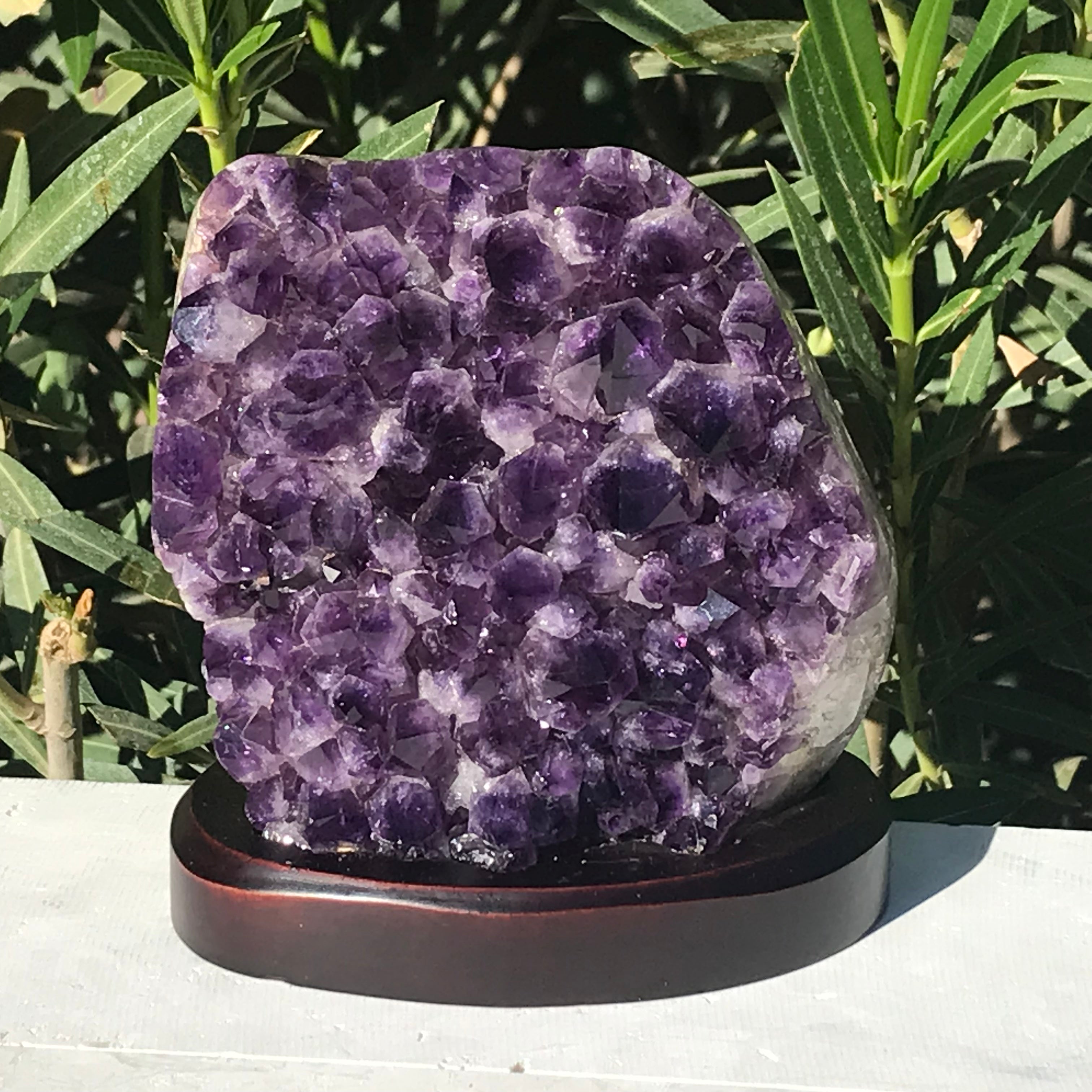 Simple Elegence Amethyst Freeform