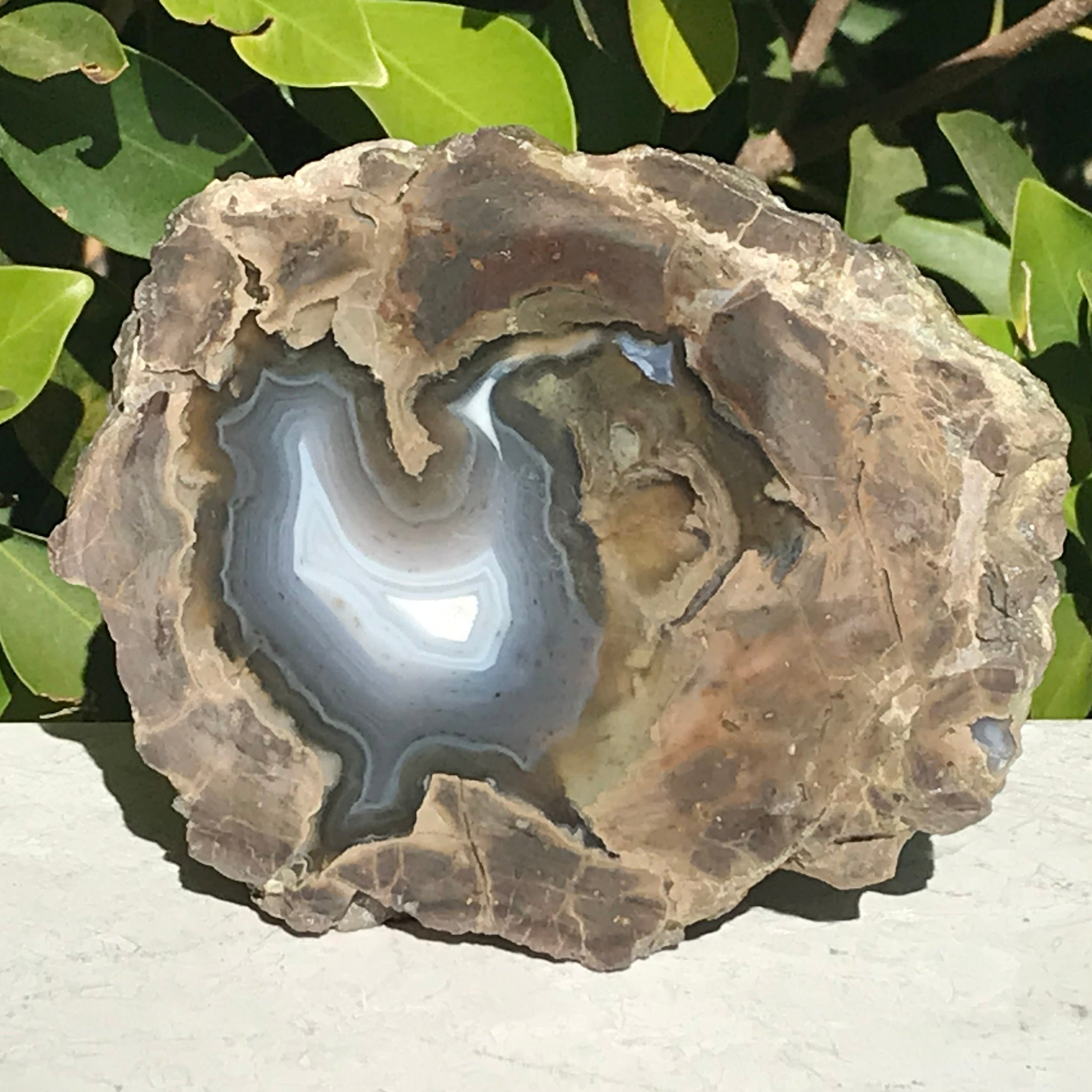 Blue Banded Dugway Geode