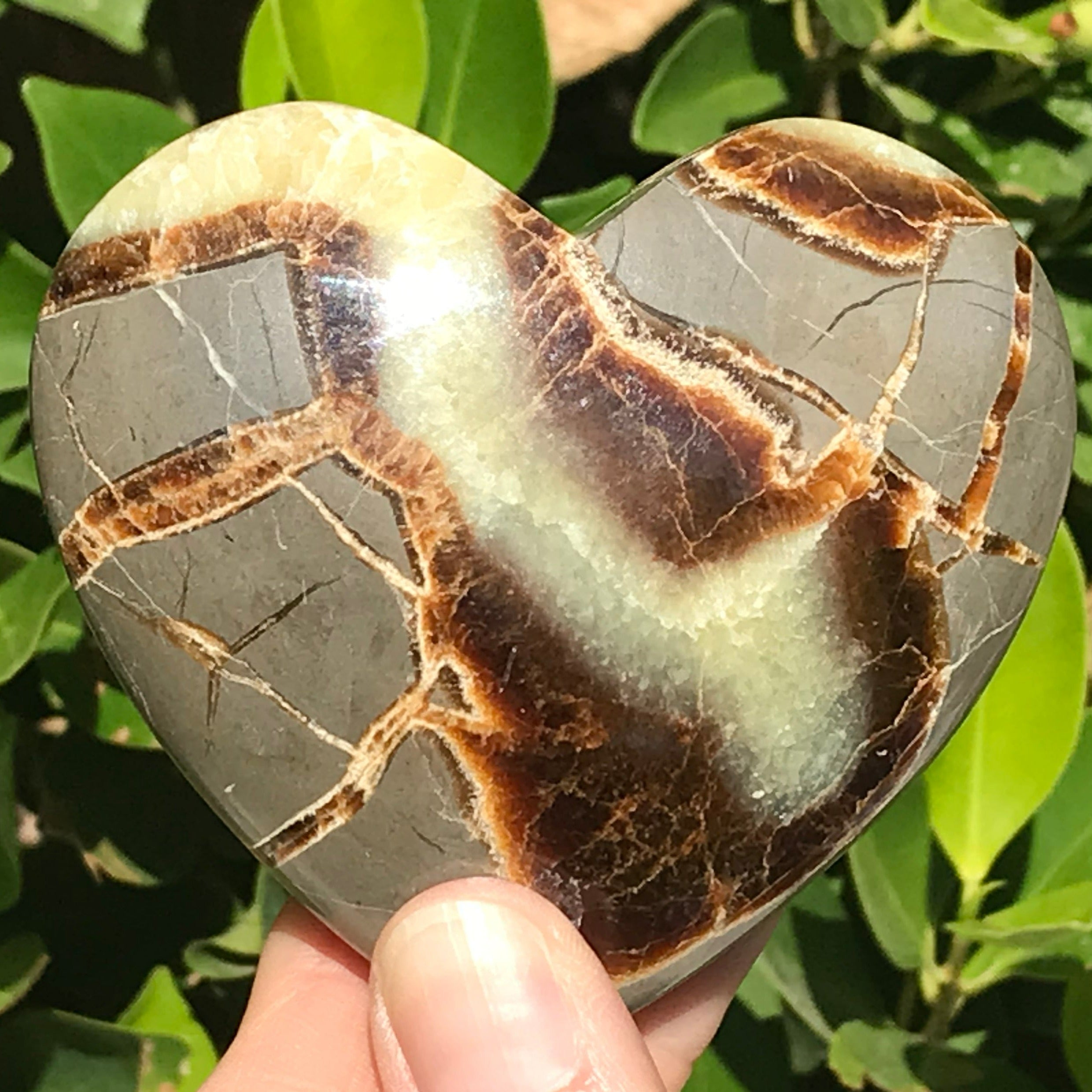 Hand Polished Septarian Heart