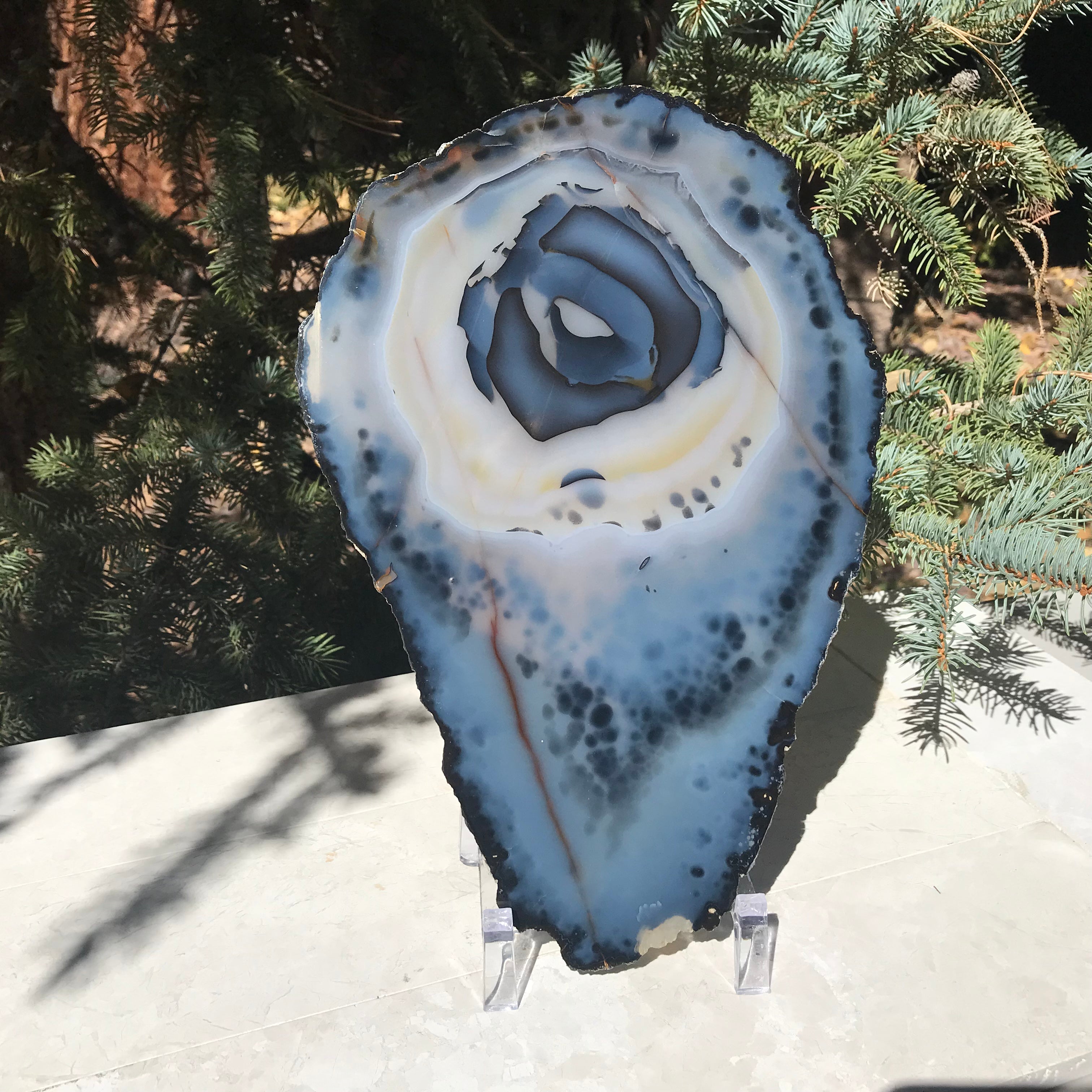 Prominent Floral-Like Eye Agate Slice.