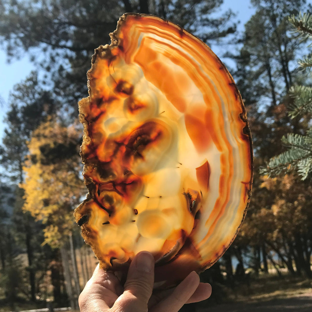 Fiery Detailed Agate Slice