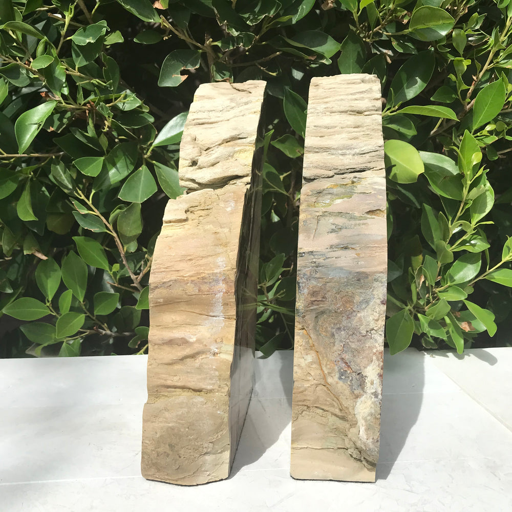 Petrified Cypress Wood Bookends