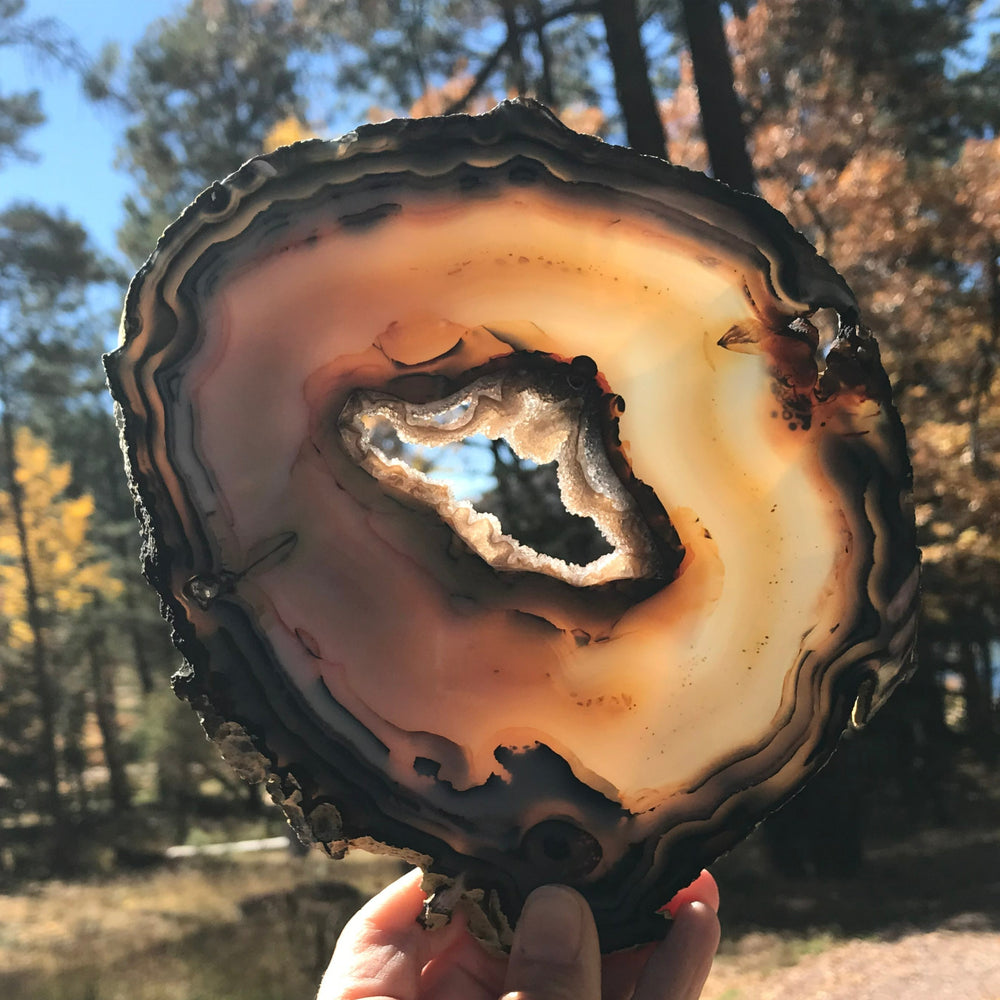 Second of Twins Agate Slice