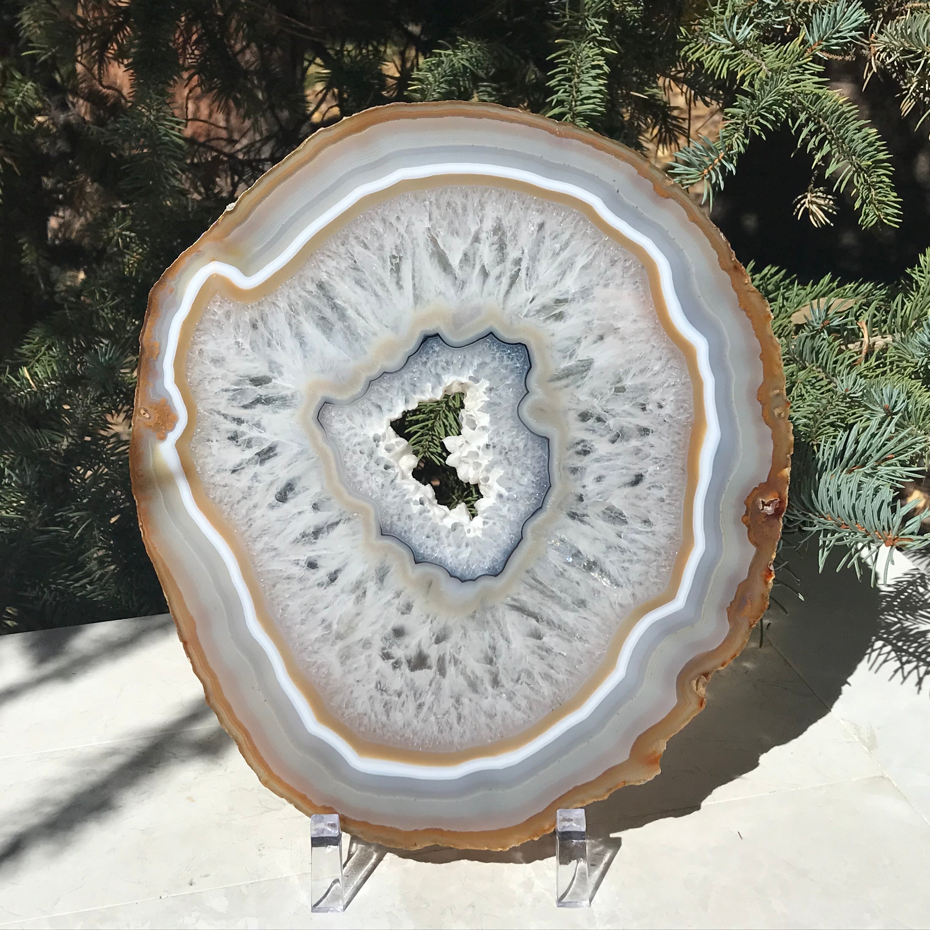 Consecutive Agate Slice #2