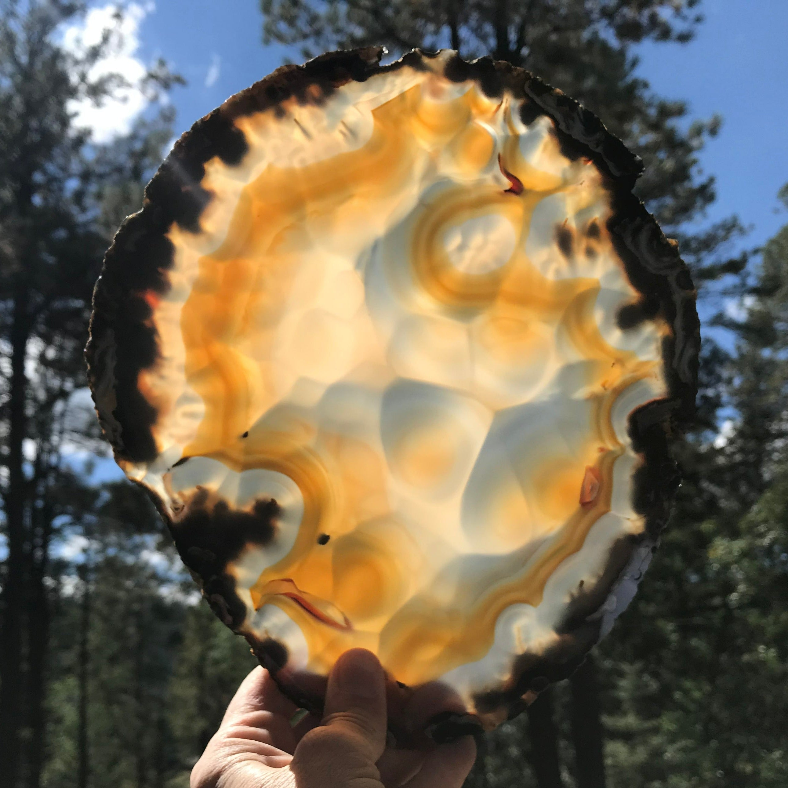 Bubbled Brazilian Agate Slice
