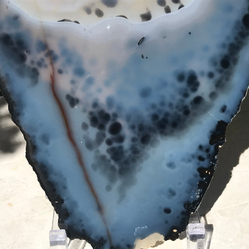 Prominent Floral-Like Eye Agate Slice.