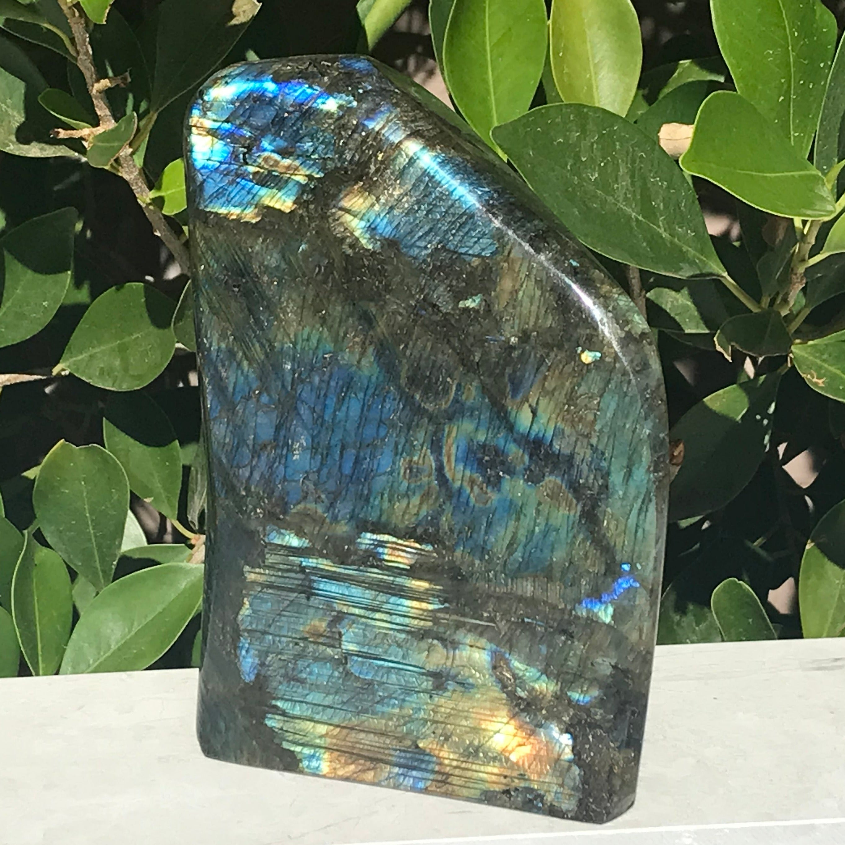 Front and Back Flash Labradorite Freeform