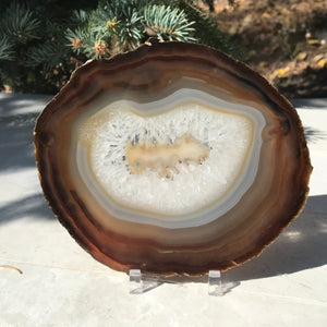 Shades of Fall Agate Slice