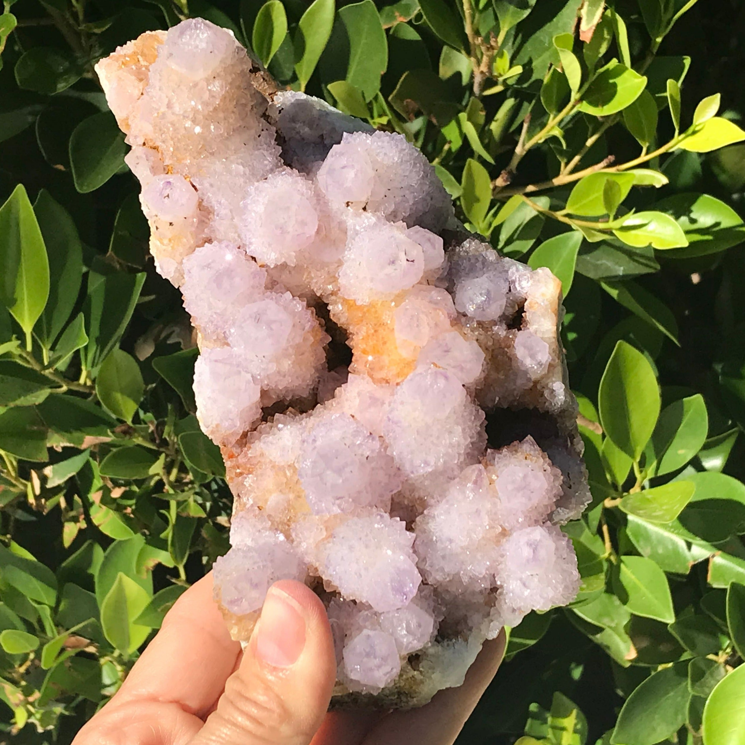 Quartz Crystal Topped Cactus Quartz Slab