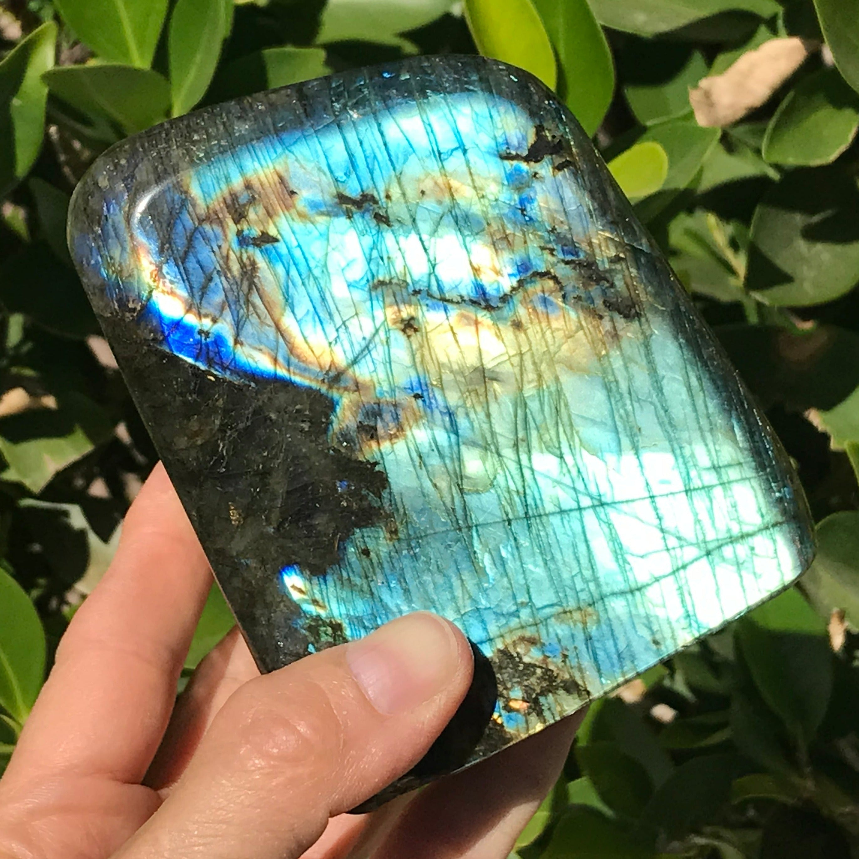 Yellow, Red and Blue Labradorite Freeoform
