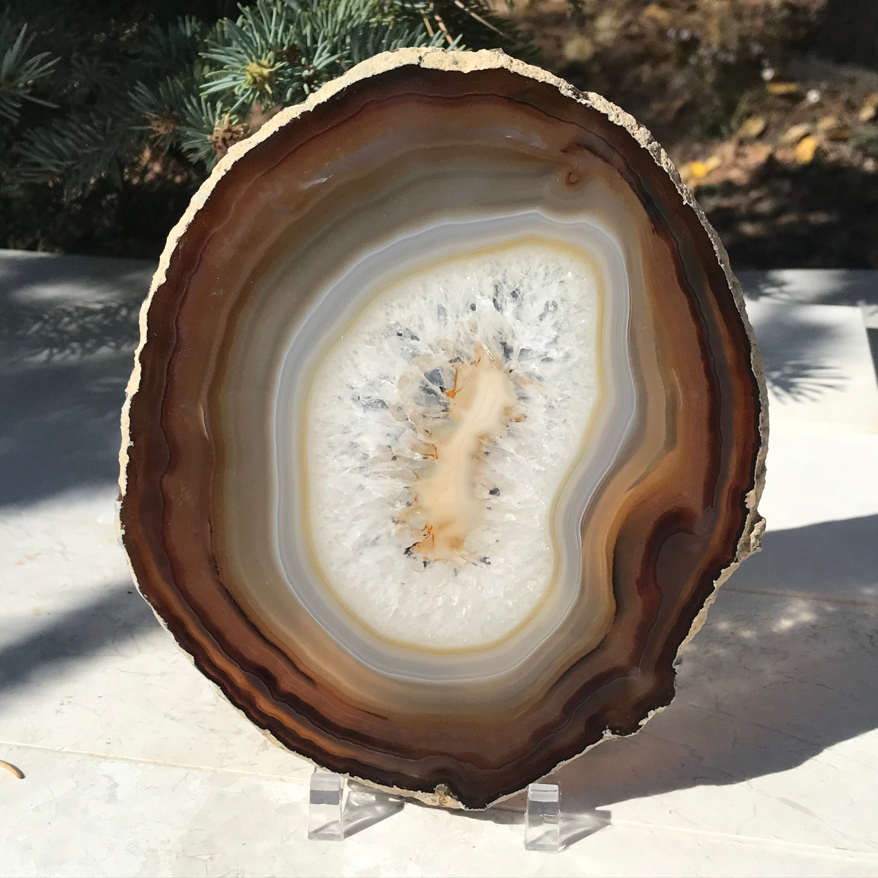 Shades of Fall Agate Slice
