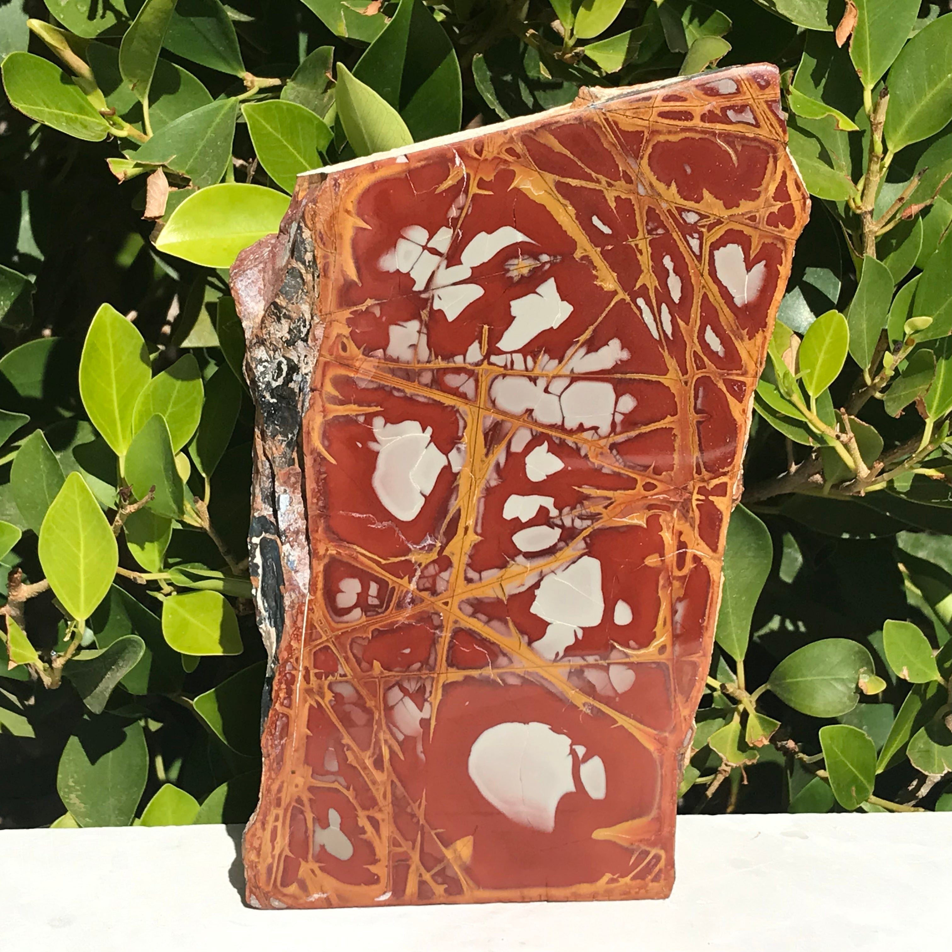 Noreena Jasper Slab