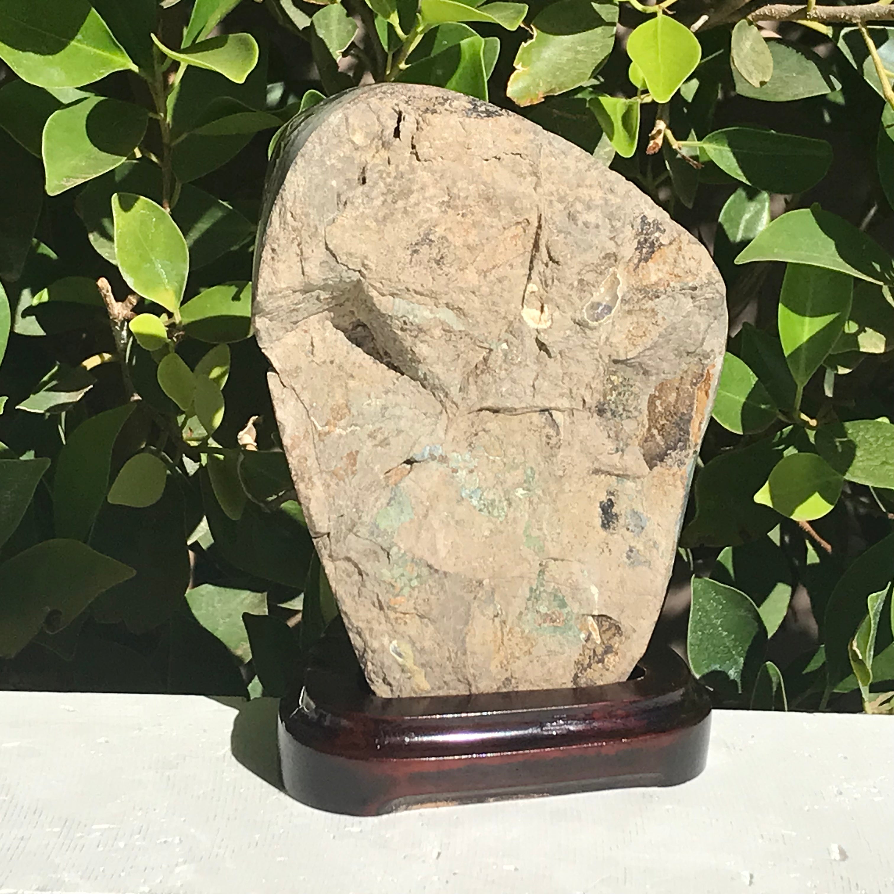 Double Faced Uruguayan Amethyst Freeform