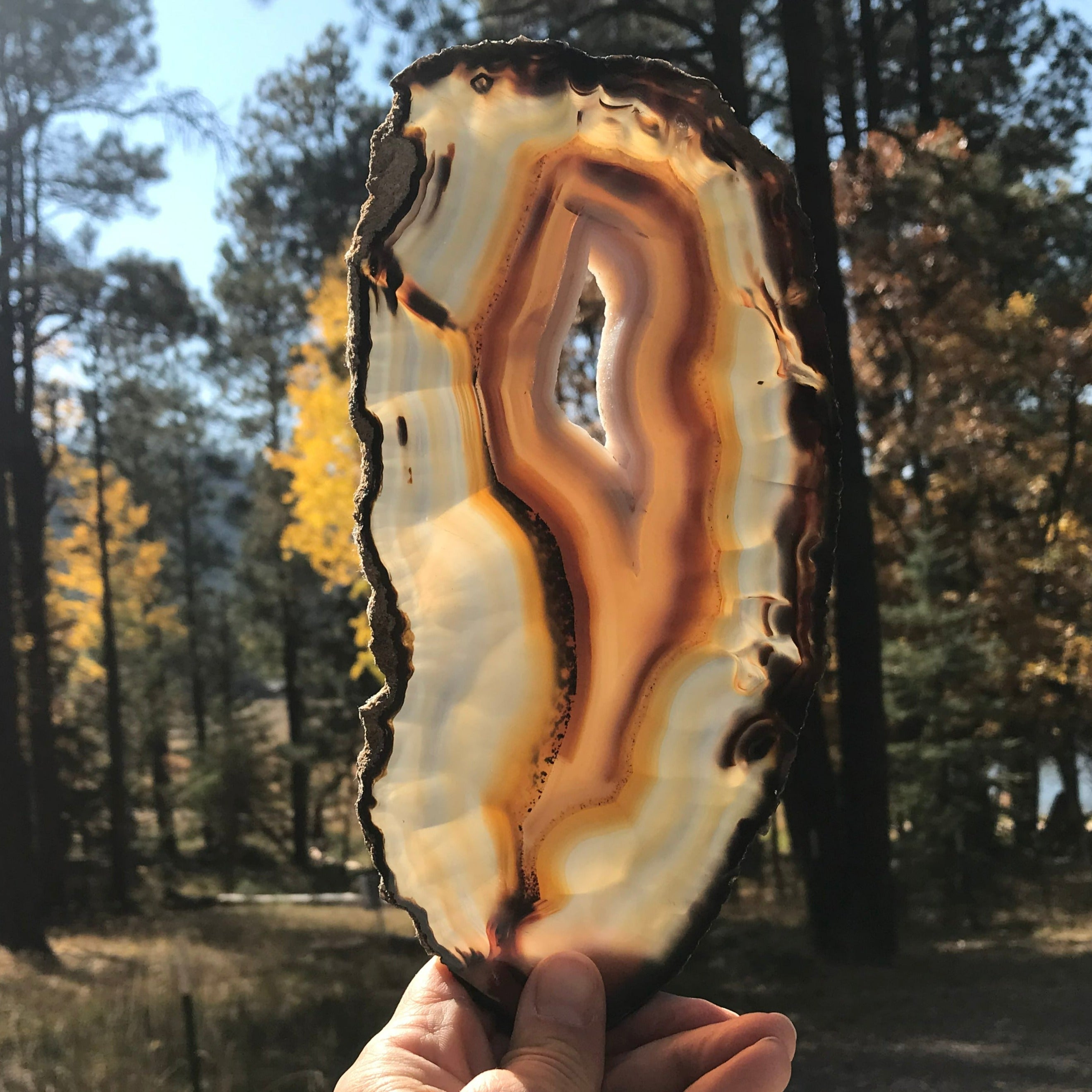 Microcrystalline Quartz and Banded Agate Slice
