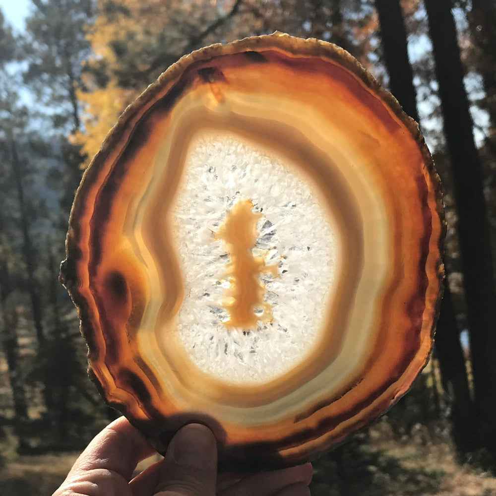 Shades of Fall Agate Slice