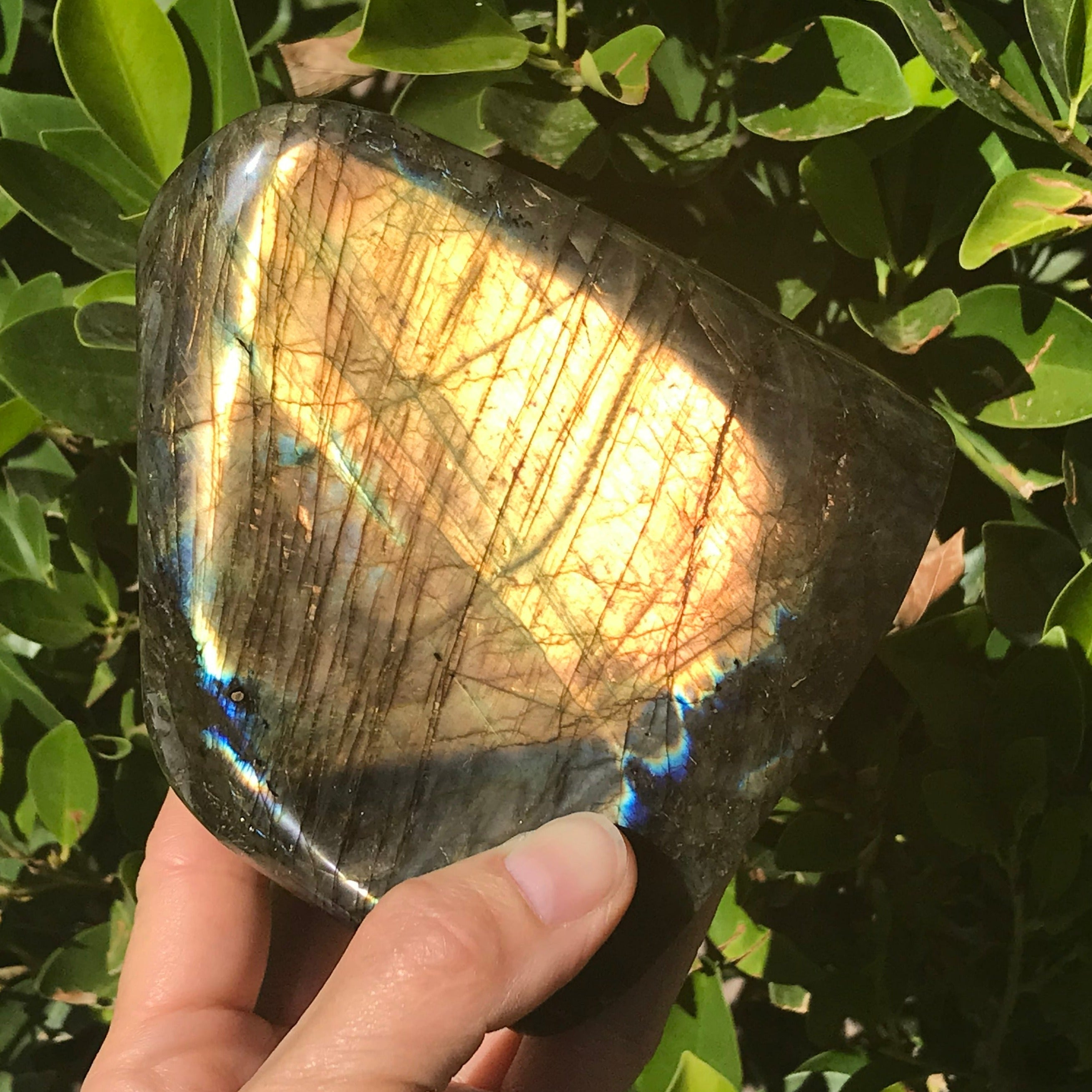 Sunshine Labradorite