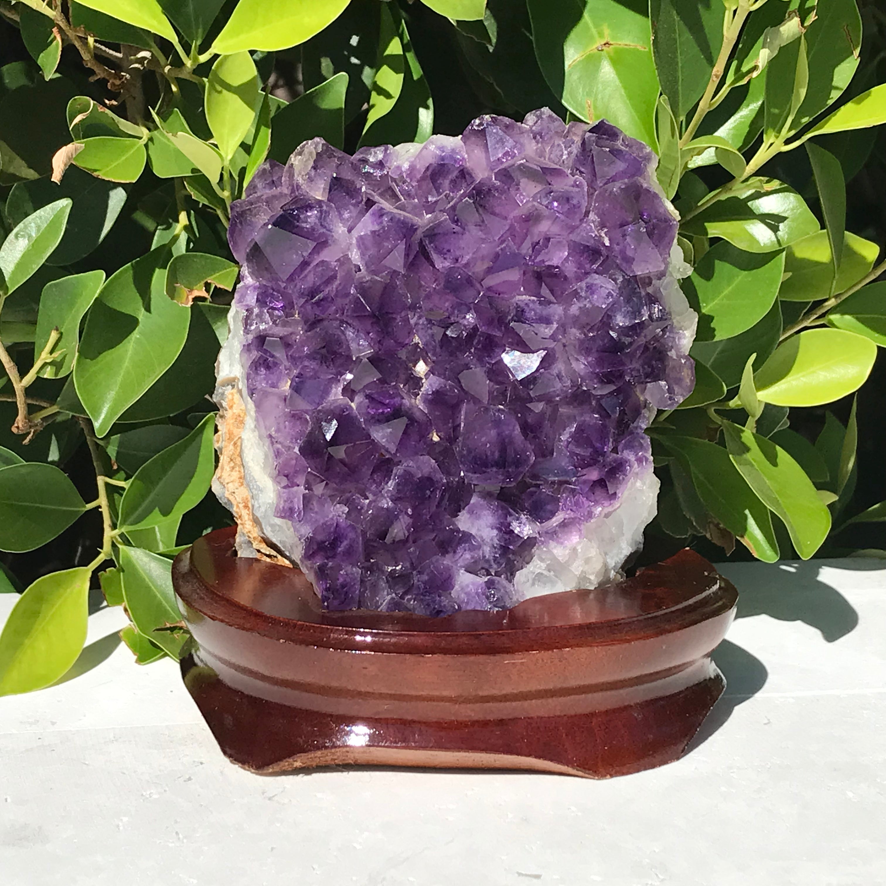 Brazilian Amethyst Cluster