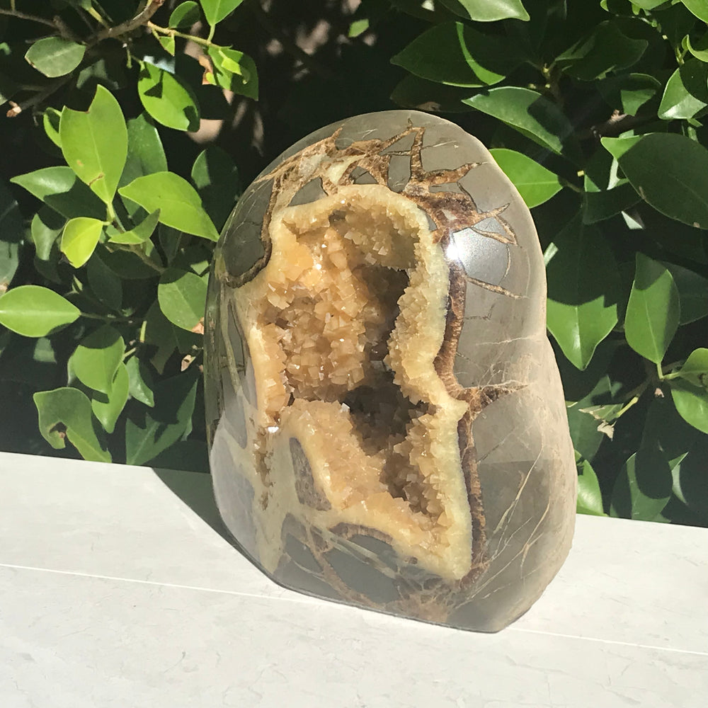 Crystal Filled Septarian Geode