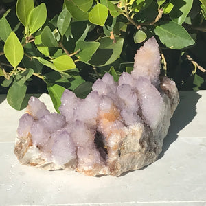 Quartz Crystal Topped Cactus Quartz Slab