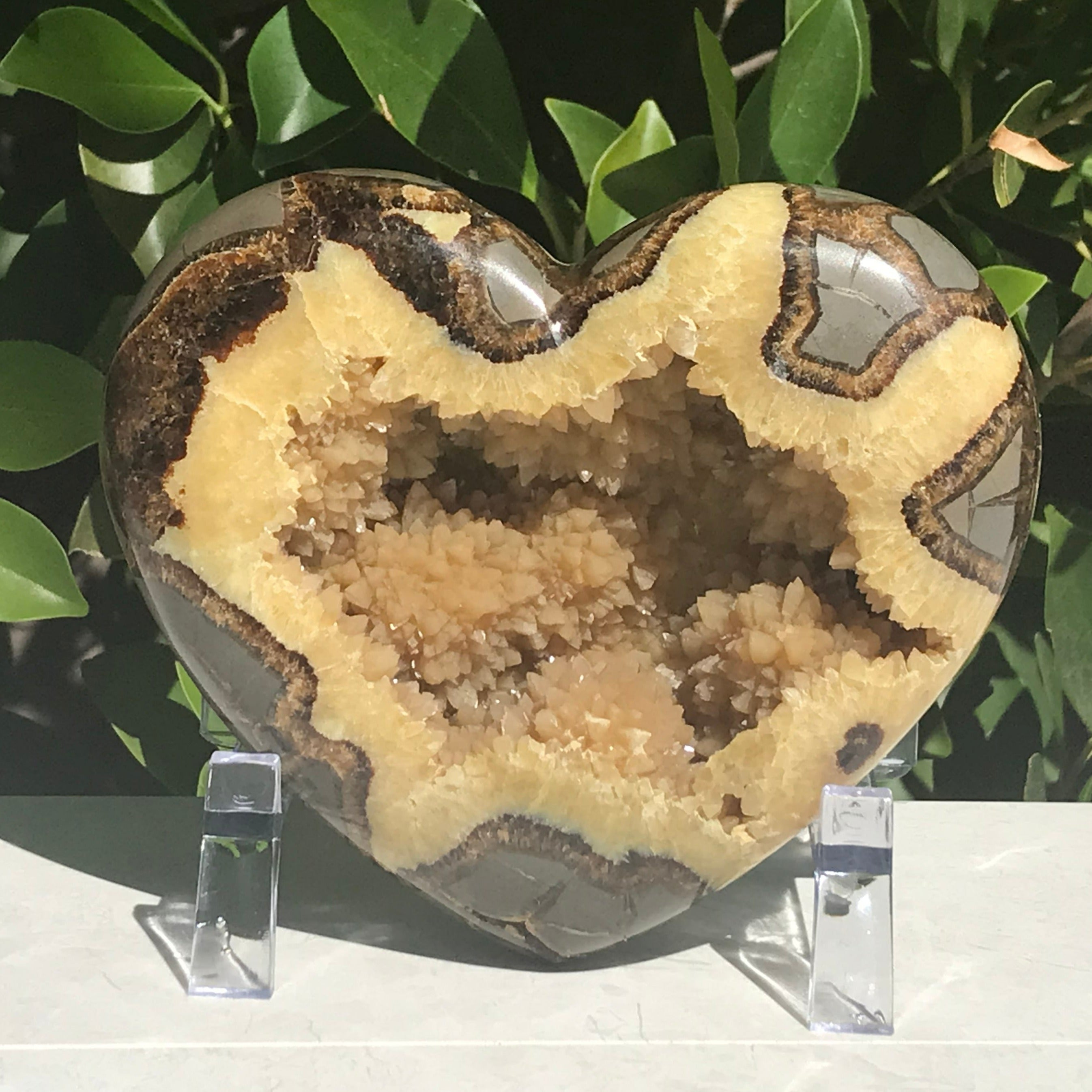 Crystal Filled Septarian Heart