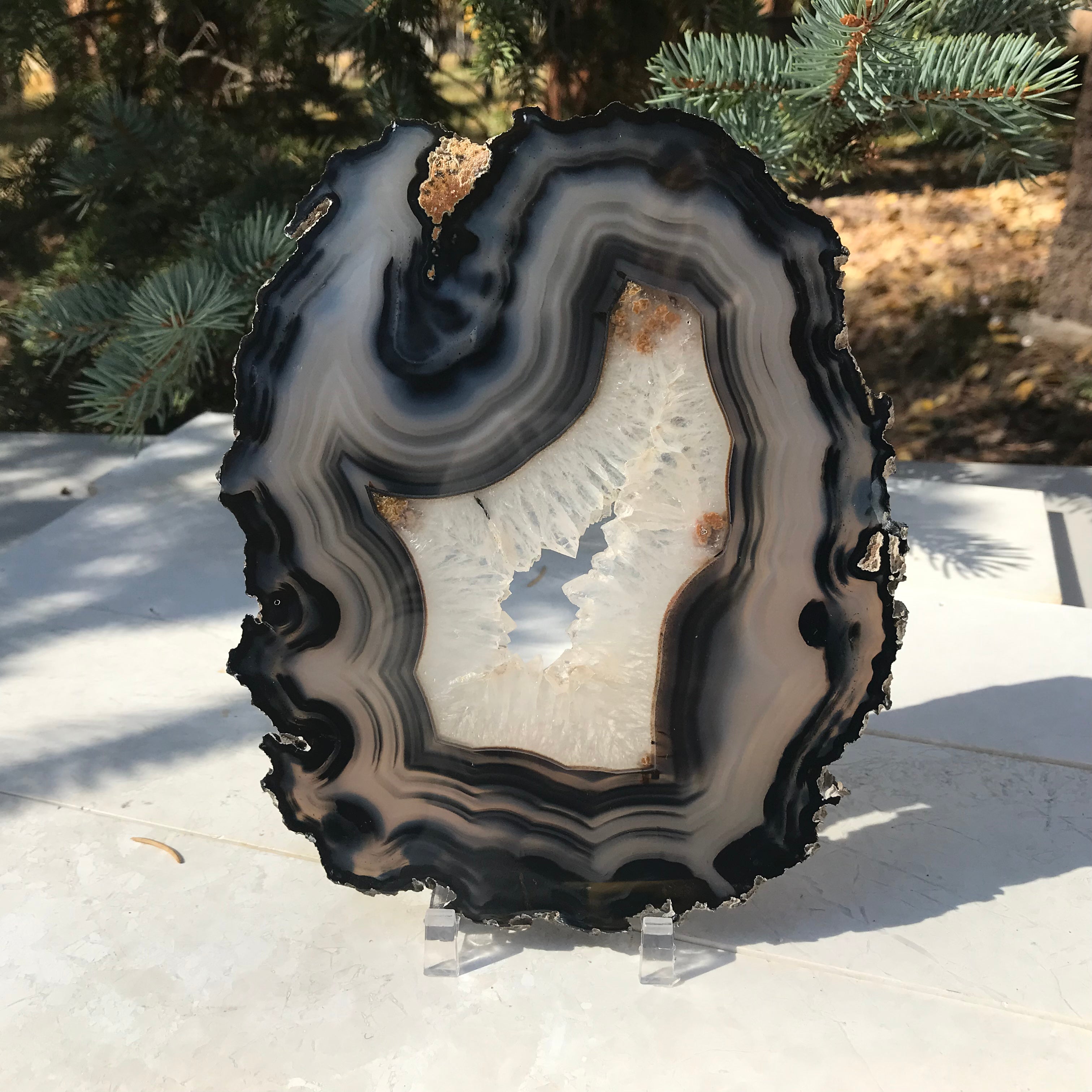 Bold Banded Agate Slice