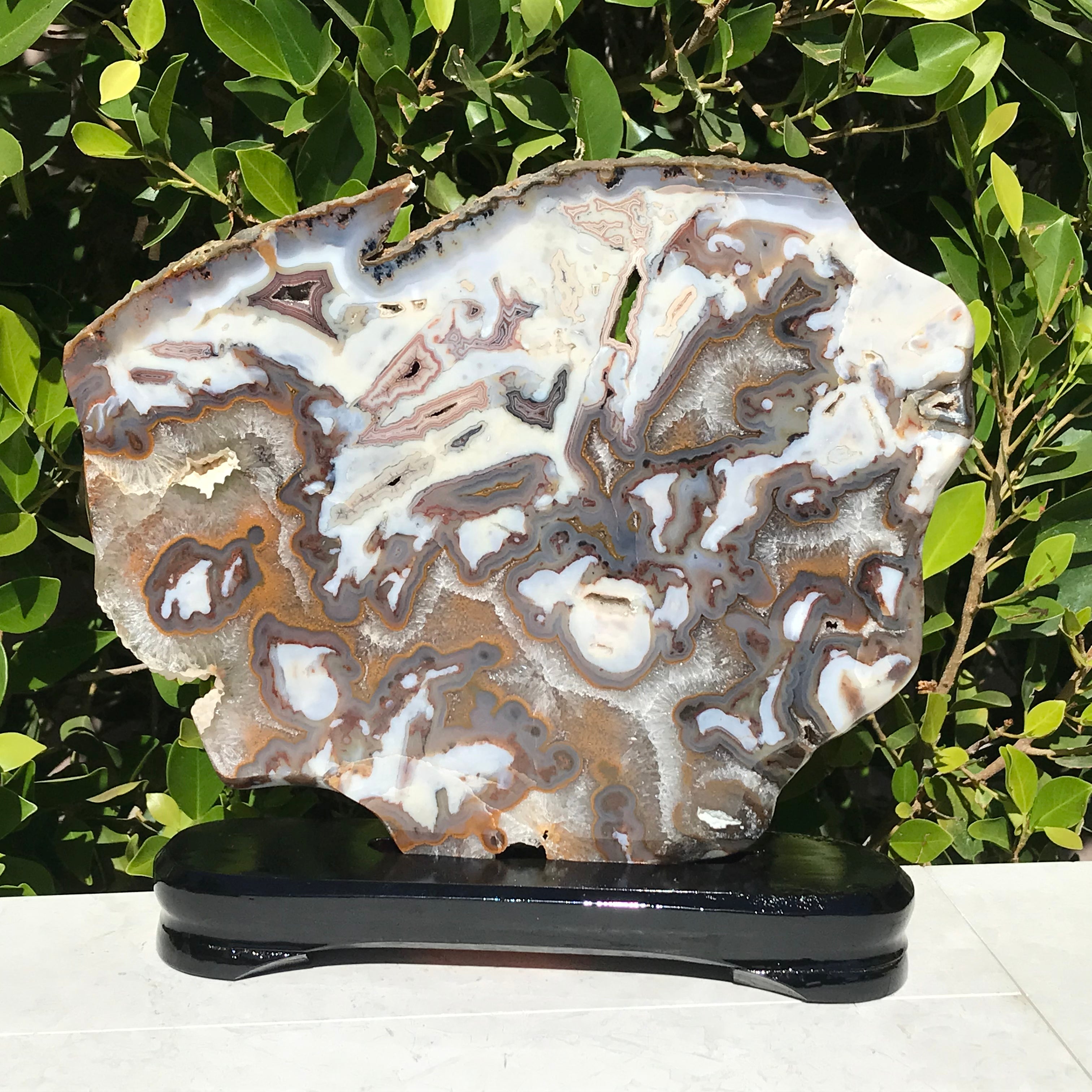 Striking Brazilian Agate Slice
