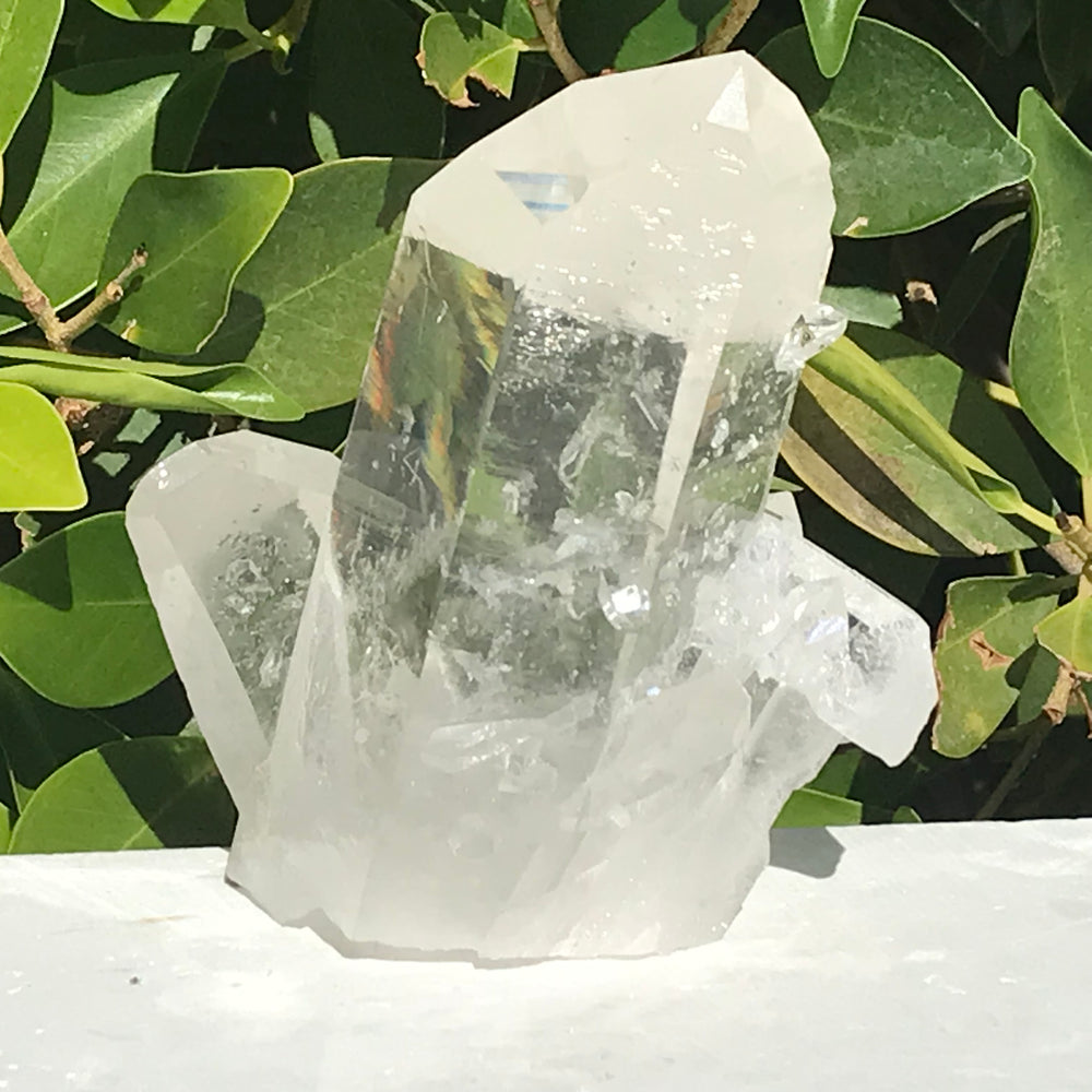 Crystal Growth on Lemurian Crystal Cluster