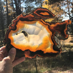 Banded Bubble Patterned Agate Slice