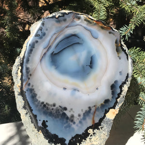 Prominent Floral-Like Eye Agate Slice.