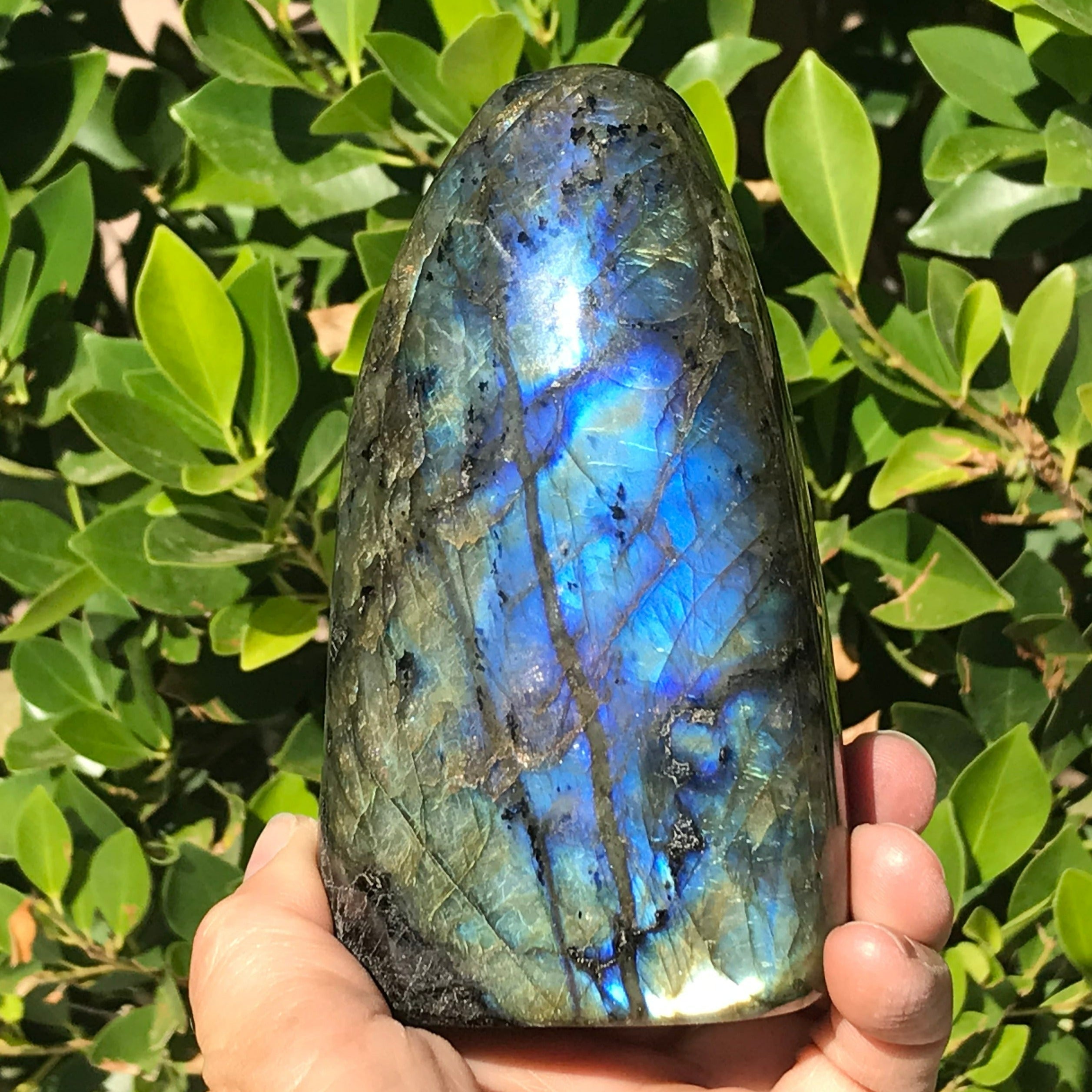 Colorful and Patterned Labradorite Freeform