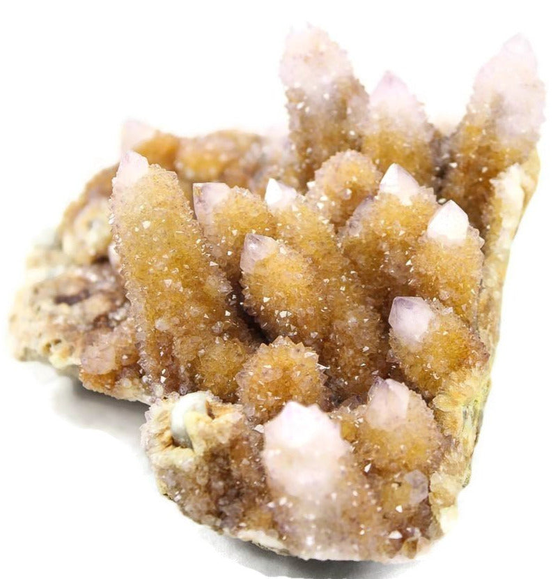 Giant African Cactus Quartz Plate