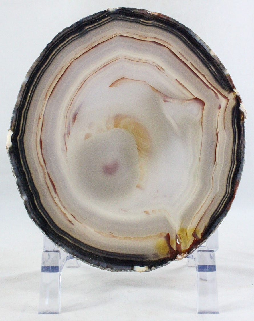 Brazilian Agate Slice